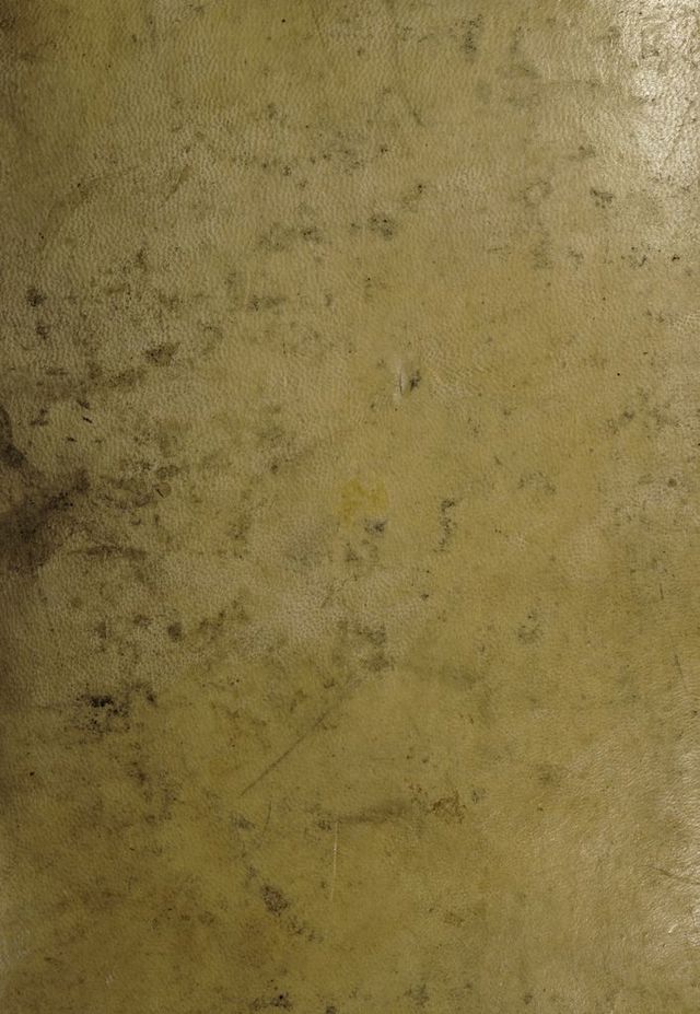 digitised image 1