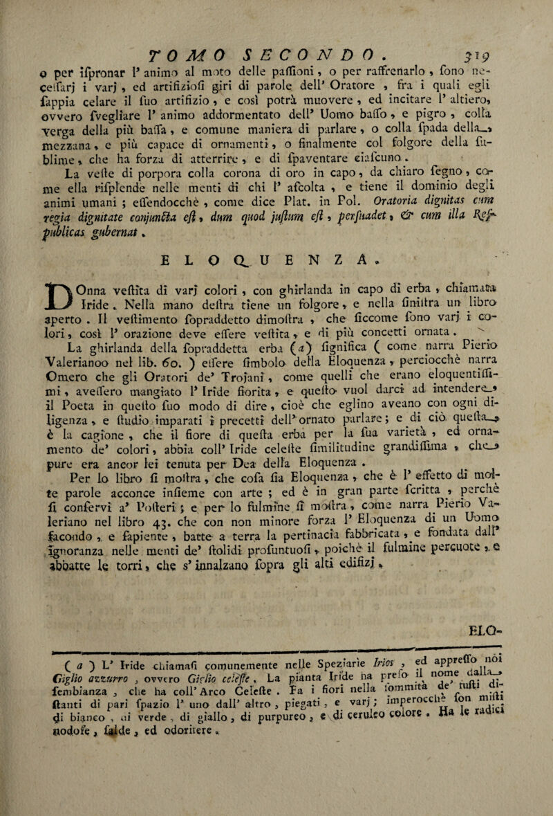 o per ifpronar P animo al moto delle palloni, o per raffrenarlo » fono ne- celfarj i vari , ed artitìziofi giri di parole dell* Oratore , fra i quali egli fappia celare il fuo artifizio , e così potrà muovere , ed incitare 1* altiero, ovvero fveglìare 1* animo addormentato delP Uomo baffo , e pigro , colla Terga della più baita , e comune maniera di parlare, o colla fpada della_» mezzana * e più capace di ornamenti, o finalmente col folgore della fli- blime * che ha forza di atterrire , e di {paventare eiafeuna. La vetle di porpora colla corona di oro in capo, da chiaro fegno, cor me ella rifplende nelle menti di chi P afcolta , e tiene il dominio degli animi umani ; eltendocchè , come dice Plat. in Poi. Oratoria, dignìtas cuna regìa dignitate conjun&a eji, dnm quod juftum efi 9 per.fiutdet, <& cuna illa publicas gubermt. ELOQUENZA. DOnna vellica dì varj colori , con ghirlanda in capo di erba , chiamata Iride .. Nella mano delira tiene un folgore * e nella finiitra un libro aperto . Il veliimento fopraddetto dimofira , che ficco me fono vari i co¬ lori , così P orazione deve etere veftita * e di più concetti ornata. ^ La ghirlanda della fopraddetta erba (<*) lignifica ( come narra Pie rio Valerianoo nel lib. 60. ) etfere fimbolo della Eloquenza , perciocché narra Omero, che gli Oratori de* Troiani, come quelli che erano eloquentifii- mi, avellerò mangiato P Iride fiorita * e quello vuol darci ad intendere-* il Poeta in quello fuo modo di dire, cioè che eglino aveano con ogni di¬ ligenza » e ftudio imparati ì precetti dell* ornato parlare; e di ciò. quella^ è la cagione , che il fiore di quella erba per la fua varietà , ed orna¬ mento de’ colori, abbia coll’ Iride celelle fimilitudine grandifiima » che_-? pure era ancor lei tenuta per Dea della Eloquenza . Per lo libro fi mollra, che cofa fia Eloquenza , che e P effetto di mol¬ te parole acconce infieme con arte ; ed è in gran parte icritta , perchè lì confervi a> Poderi; e per lo fulmine fi mollra, come narra Pierio Va- leriano nel libro 43. che con non minore forza P Eloquenza di un Uomo facondo , e fapiente , batte a terra la pertinacia fabbricata , e fondata dall Ignoranza nelle menti de’ lìolidi profuntuofi * poiché il fulmine percuote e abbatte le torri, che s’innalzano! fopra gli alti edifizj * ELQ- ( a } L* Iride chiamali comunemente nelle Speziarle Irto* , ® appre a 11 Giglio azzurro , ovvero Gklìo celèjfe * La pianta Iride na preio fenibianza , che ha colP Arco Celelle. Fa i fiori nella tommita e u . ftanti di pari fpazio P uno dalP altro, piegati, e varj; imperocc i- on di bianco , ni verde , di giallo, di purpureo , « di ceruleo colore . tt* W Godofe , falde 9 ed odorirere »