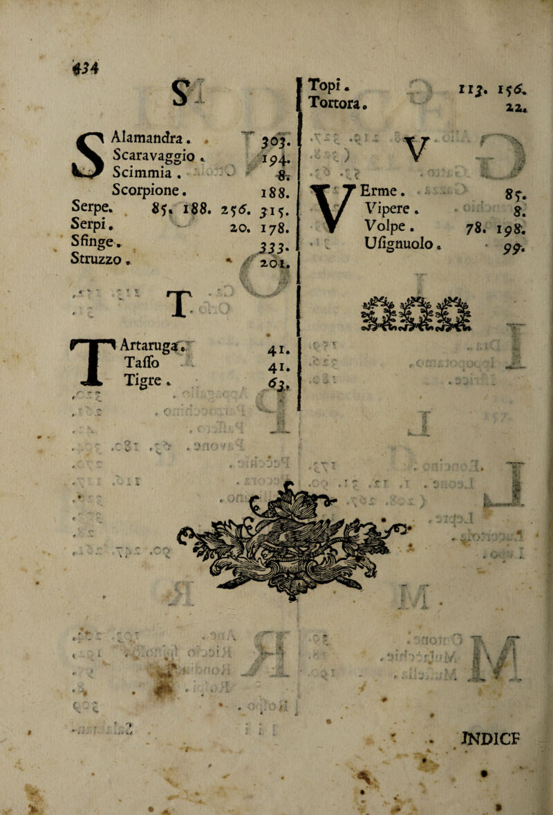 m ■ i Topi. Tortora irj. i$6. za. Alamandra. . » Scaravaggio . 194. Scimmia. ~ V #. Scorpione. 188. Serpe. 85. 188. 255. Serpi. Sfinge. Struzzo. ao. 178. 333' /' 2.01. ì r Erme. Vipere. Volpe • U figliuolo . * r . -1 ,\jp 8. 78. 198. ‘ 9* <5 P TArtaruga. TaiTo : Tigre. 0 • 4K . JNDICF * . * . 4 »