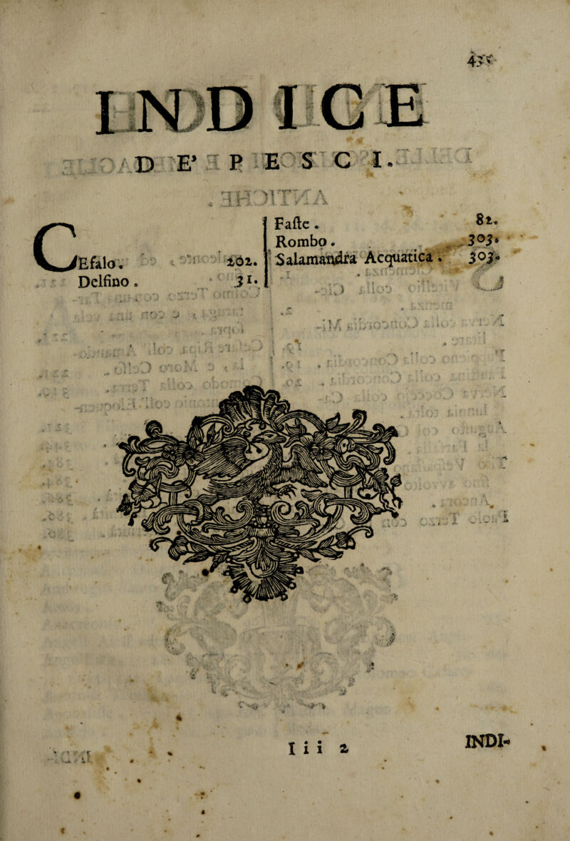 c \^Efalo, Delfino * 'J '^'ÌÌTKA ZQZ. 3U /in* Fatte. 8i. Rombo. . 3°3‘ Salamandra Acquatica. 3°1’ a -c-L) j.ileo cui-. J **• *-*■>* »-~ <—i j'/fc ‘Ju/l'jV lUk-* •'• • v  ~4* I i i a INDI- ,