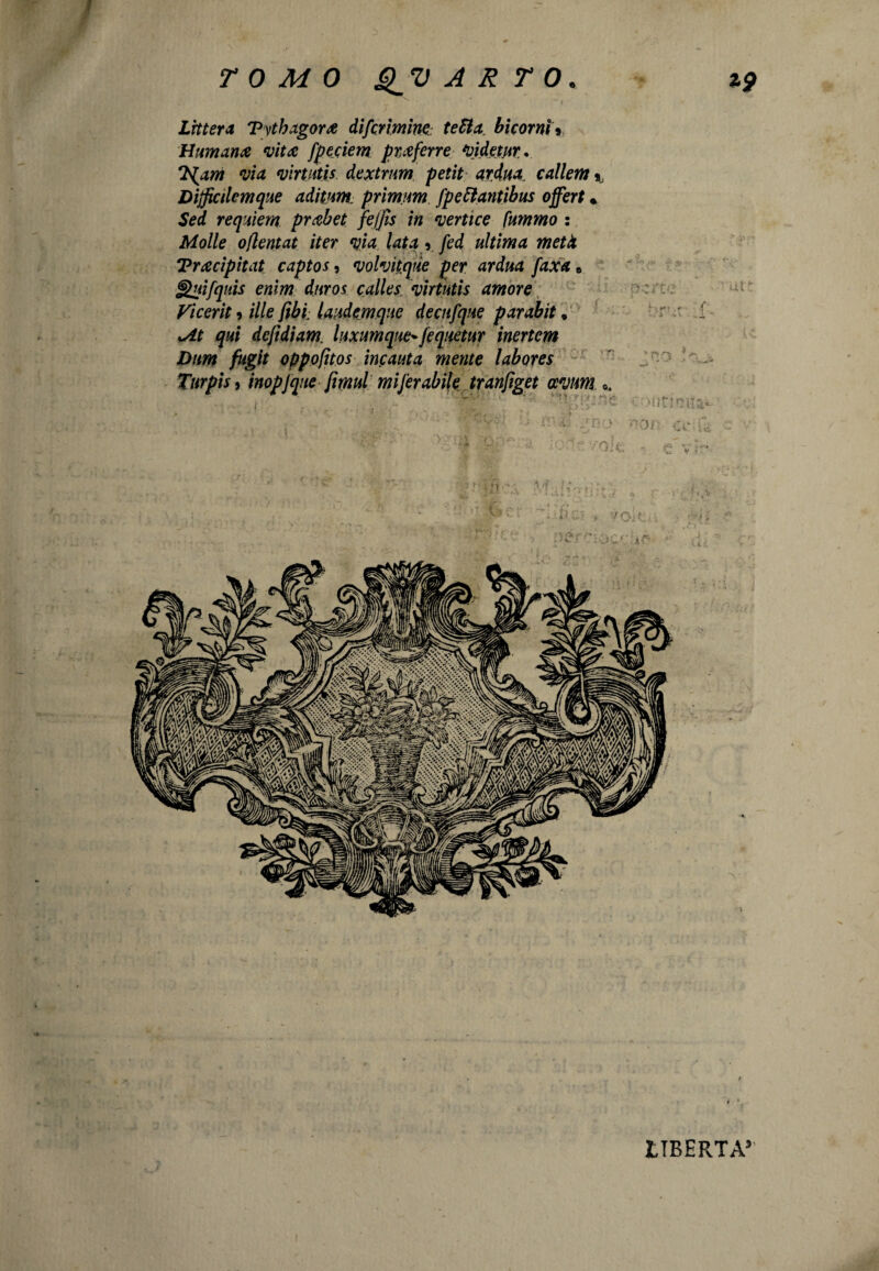 / TOMO QV A R T 0. *9 Lettera Tvthagor# difcrimine: tetta, bicorni» Human# *vit# fpeciem prxferre Videtur.. T^am via virtutis dextrum petit ardua callem 9. Dijficilemque aditum primum fpettantibus offert « Sei requiem prabet fejfis in vertice fummo : Molle oflentat iter via lata r fed ultima metà Tracìpitat captos, volvitque per ardua faxa » J>uifquis enìm duros calles virtutis amore Vicerit 9 i//e fibi. laudemqne decnfque parabit ♦ udt qui dcjìdiam luxumqye* (equetur inertem Bum fugit oppofìtos incauta mente labores Tur pis, inopfque fimul miferabile tranfiget ccvum < ocrt Mi' . ut t or L i 'C,'- ■voi c LIBERTA5