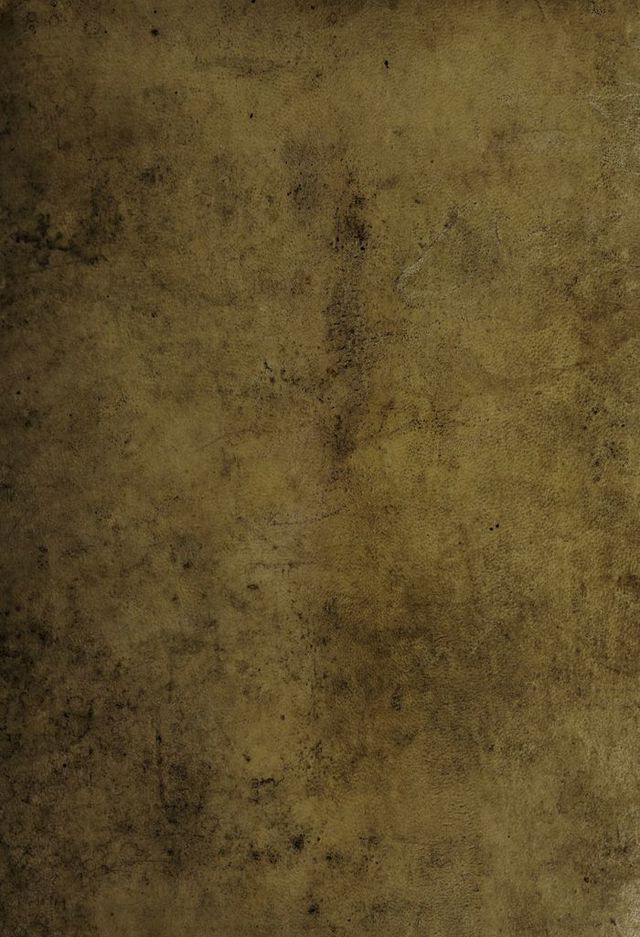 No text description is available for this image