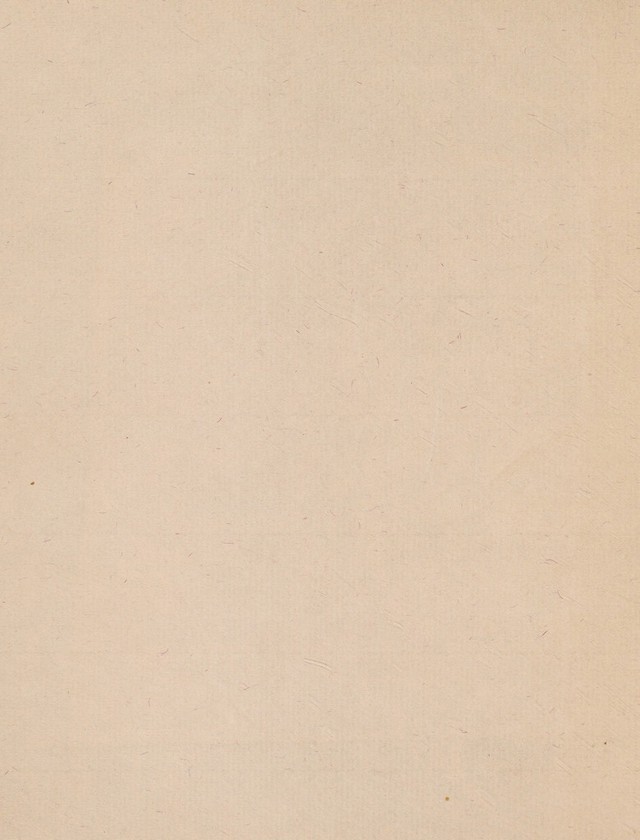 digitised image 2