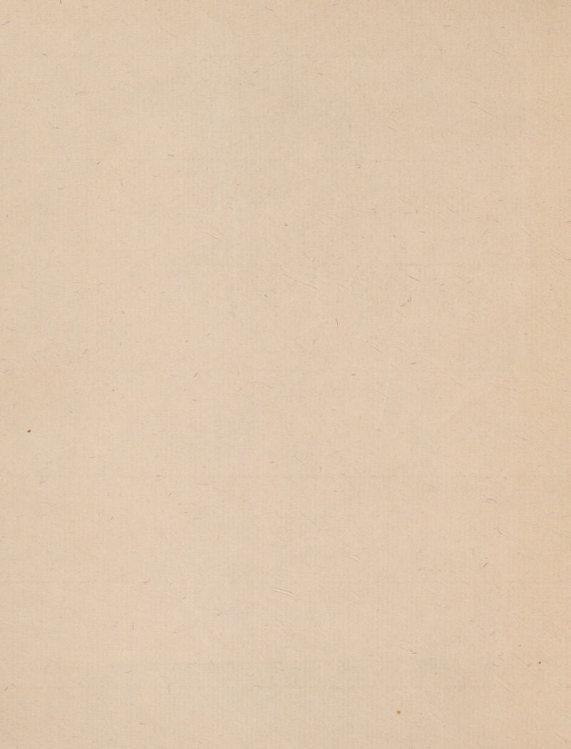 X . ' \ > ■f / I ' / ■\ ' ' 1 \