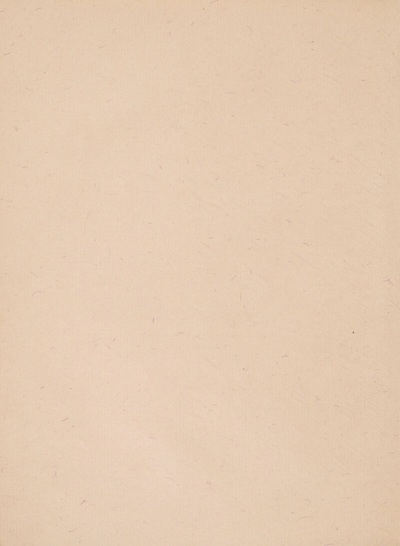 J s / / \ f i S) 's / 7 \ 1 r S. I / / / r I /■ X ' . I 3 t > <