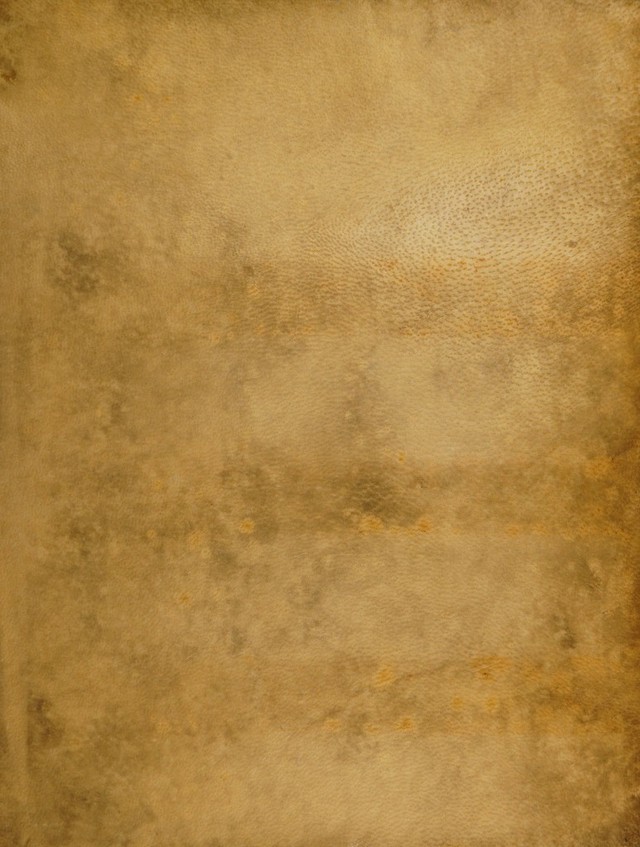 No text description is available for this image