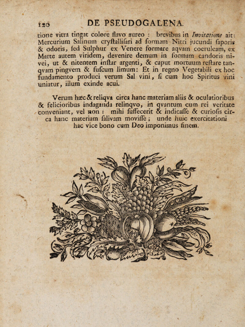 tione vitra tingat colore flavo aureo : brevibus in Invitatione aits Mercurium Salinum cryftallifari ad formam Nitri jucundi faporis & odorisj, fed Sulphur ex Venere formare aqvam coeruleam, ex Marte autem viridem, devenire demum in formam candoris ni¬ vei, ut & nitentem inftar argenti, & caput mortuum reflare tan- qvam pingvem & fufcum limum: Et in regno Vegetabili ex hoc fundamento produci verum Sal vini, fi cum hoc Spiritus vini uniatur, iilum exinde acui. Verum haec&reliqva circa hanc materiam aliis & oculatioribus & felicioribus indaganda relinqvo, hl qvantum cum rei veritate conveniant, vel non : mihi fuffeceric & indicafle & curiofis cir¬ ca hanc materiam falivam movifle ; unde huic exercitationi hac vice bono cum Deo imponimus finem. i