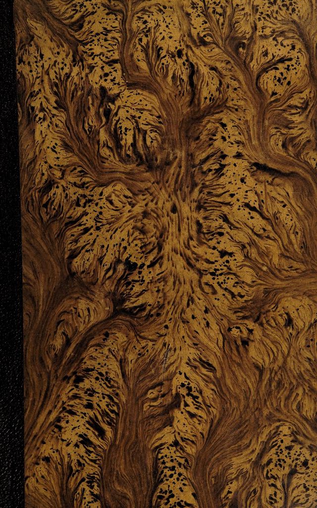 digitised image 1