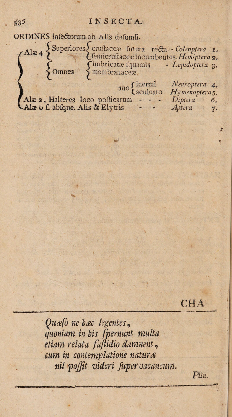 ORDINES infe&orum ab Alis defumfi. •AlS4(SuPerioreS(Cruftac^ ratura reda. * Coleopt er a i, * (. ^iemicruftaceaeincumbentes.Haniptera^s C rimbricatae fquamis - Lepidoptera 3, ^ Omnes ^membranaceae. ano Neufoptera 4. ‘caculeato Hy menoptera 5. Alae s/Halteres, loco pofticaram - - - Diptera 6, -Alae 0 f. abfijue. Alis & Elytris - - Apter a 7, __CHA Quafo ne lac legentes, quoniam in bis fpemunt multa etiam relata faftidio damnent, cum in contemplatione natura nil pojjit videri fupervacancum. PUa.