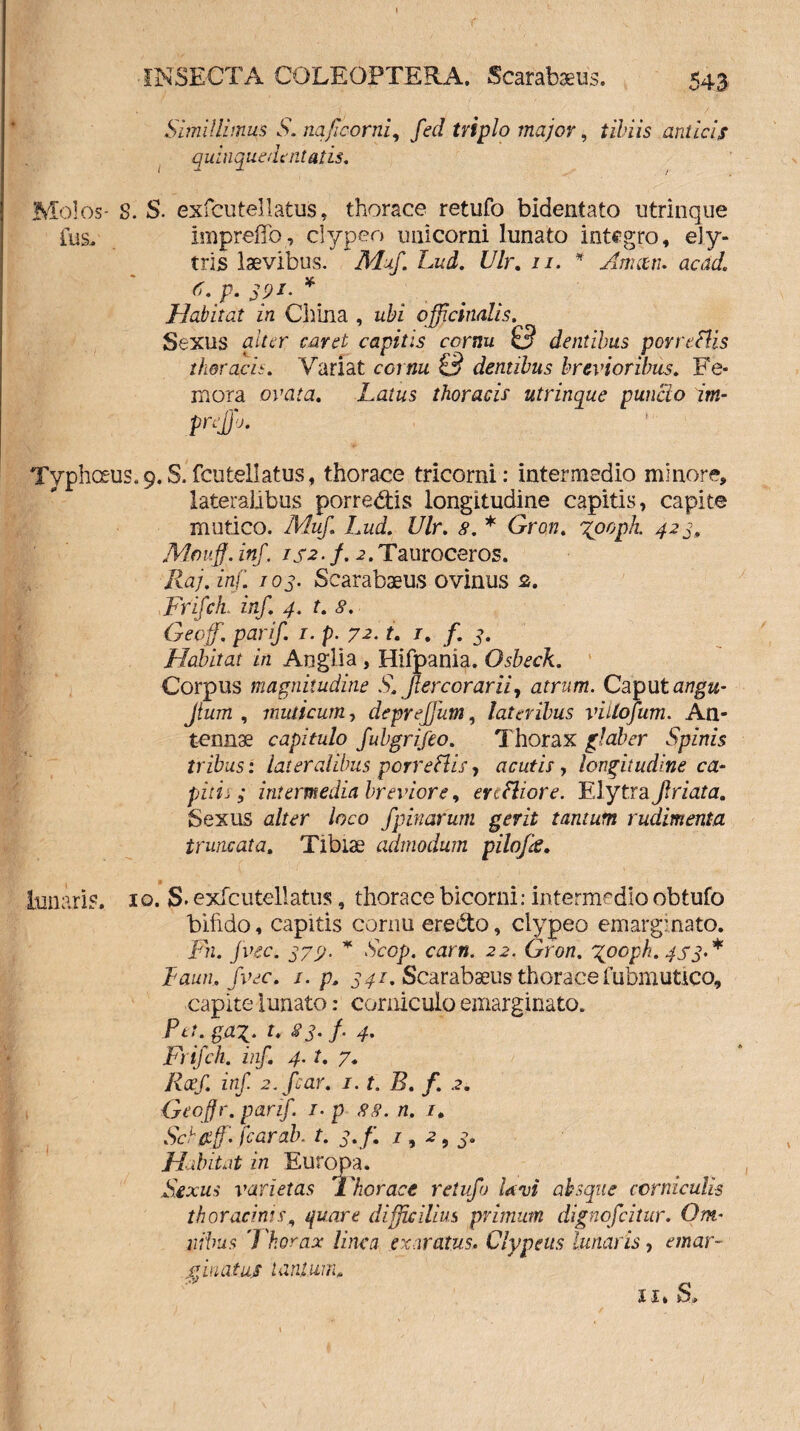 Simillimus S, naficorni, fed triplo major, tibiis anticis quinque dentatis. Molos- S. S. exfcutellatus, thorace retufo bidentato utrinque fus- impreffo, clypeo unicorni lunato integro, ely- trls laevibus. Muf. Lud. Ulr. 11. * Amatu ac ad. t. p. 391. Habitat in China , ubi qfficinalis. Sexus alter caret capitis cornu £? dentibus porreflis thoracis. Variat cornu £9 dentibus brevioribus. Fe¬ mora ovata. Latus thoracis utrinque puncto im- prejjb. ' ' Typhoeus.9.S.fcutellatus, thorace tricorni: intermedio minore, lateralibus porredtis longitudine capitis, capite mutico. Muf. Lud. Ulr. 8. * Gron. gooph. 423, Afe uff. inf. 152 • f. 2. Tauroceros. Ilaj. inf. 103. Scarabaeus ovinus £. Frifck inf. 4. t. 8. Geoff. parif. 1. p. 72. t. 1. f. 3. Habitat in Anglia , Hifpania. Osbeck. Corpus magnitudine S. fler corar ii, atrum. Caputangu- Jtum , muticum, deprejjutn, lateribus villofum. An¬ tennae capitulo fubgrifeo. Thorax glaber Spinis tribus: lateralibus porreflis, acutis, longitudine ca¬ piti, ; intermedia breviore, enfliore. Elytra friata. Sexus alter loco f pinarum gerit tantum rudimenta truncata. Tibiae admodum pilofe. \ » lunaris. 10. S> exfcutellatus, thorace bicorni: intermedio obtufo bifido, capitis cornu erecto, clypeo emarginato. Fn. jvec. 379. * Scop. carn. 22. Gron. gooph. 4S3>* Laun. fvec. s. p. 341. Scarabaeus thorace fubmutico, capite lunato: corniculo emarginato. Pa. gaz. t. 83. f . 4. Frifch. inf. 4. t. 7. Rcef. inf. 2. far. i.t. B. f. 2. Geoffr. parif 1. p 88. n. 1. Sch&ff. fcarab. t. 3./. 1,2,3. Habitat in Europa. Sexus varietas 'Thorace retufo Lvi absque corniculis thoracinis, quare difficilius primum dignofeitur. Om- nibus l'horax linea exaratus. Clypeus lunaris, emar- ciiuatus lanium, .*y ix* S,