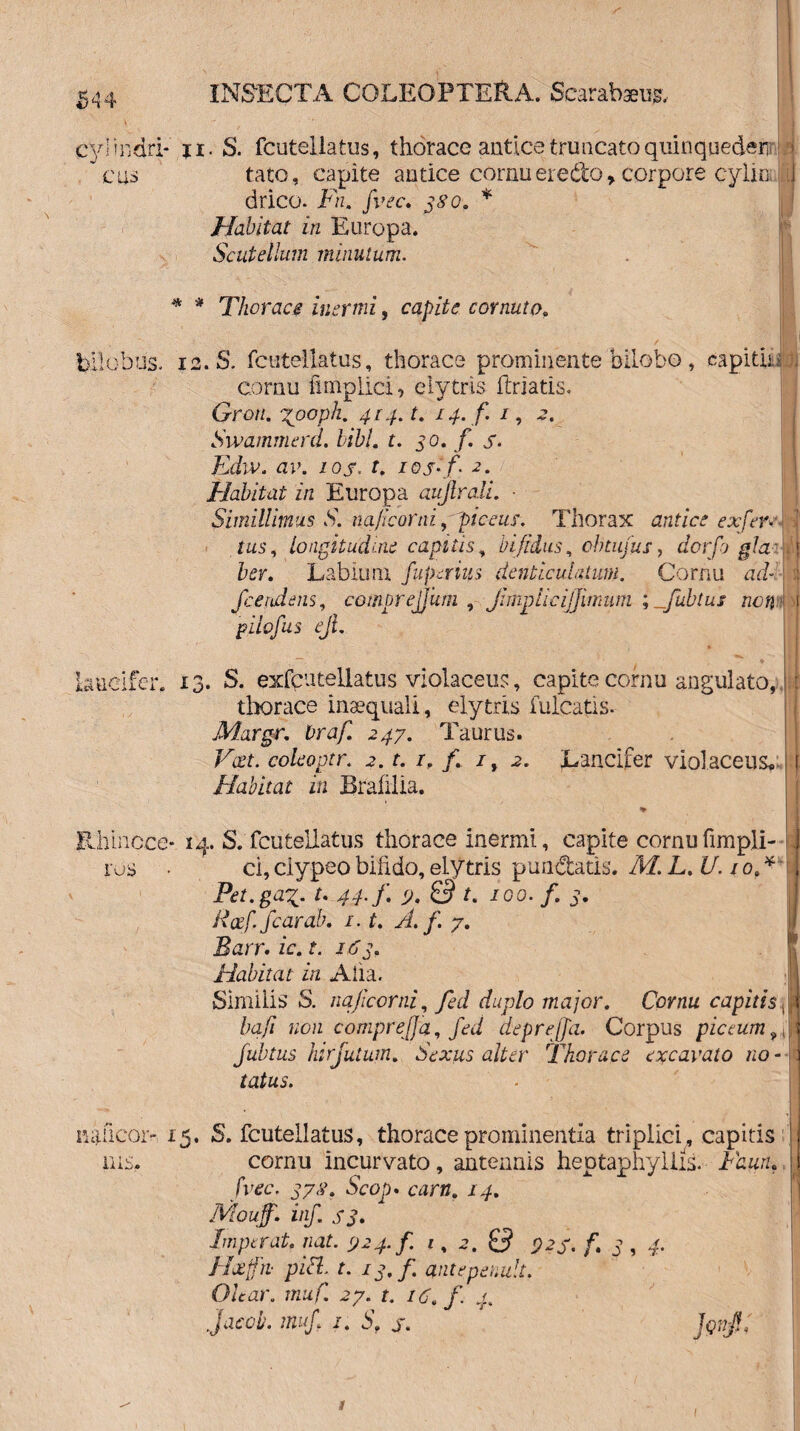 *> 4 4 cylindri- ji. S. fcutellatus, thorace antice truncato quinquederii = cixs tato, capite antice cornu ere do, corpore cylic 1 drico. Fn, fvec. 380. * Habitat in Europa. Scutellam minutum. * * Thorace inermi, capite cornuto. bilobus, is. S. fcutellatus, thorace prominente bilobo, capitii - )j cornu fmiplici, e lytris ftriatis. Gron. xpoph. 414. t. 14. f. 1, 2. Swammerd. libi. t. 50. f. s- Ediv. av. ios. f. ioj.f. 2. Habitat in Europa aujlrali. • Simillimus S. najicorni ppiccus. Thorax antice ex fer* | /ms, longitudine capitis, bifidus, obtujus, dorfo pia 0 bev. Labium fit ferius denticulatum. Cornu mi- 1 fcendens, comprejjum , jhnplicijjmum ; _fubtus non *j pilofus ejl. kuicifer. 13. S. exfcutellatus violaceus, capite cornu angulato, | | thorace inaequali, elytris fulcatis- Margr. braf. 247. Taurus. Tam coleoptr. 2. r. /, /. /, 2. Lancifer violaceus» j 1 Habitat in Brafilia. Ehincce* 14. S. fcutellatus thorace inermi, capite cornufimpli- J rus • ci,clypeobifido,elytris pandatis. Af. L. U. 10A Pet.gat r. 7. 0 t. /00. /. 5. Rceffcarab. 1.1. A. f. 7. Barr. ic. t. 163. Habitat in Aha. Similis S. najicorni, fed duplo major. fbriiw capitis bafi non comprejja, fed deprejfa. Corpus pictum Jubtus hir jutum. Sexus alter Thorace excavato no - tatus. # 11 naficor- 15. S. fcutellatus, thorace prominentia triplici, capitis ms. cornu incurvato, antennis heptaphyliis. Scop. airfl. 14. Mouff. inf. s3. Imperat. nat. »24. f. 1, 2. 0 i? 27. /i j , 4. Hxffn- piA, t. 13, f. antepenult. Olear. 27. r. /<<, f. T<% jacob. muj /. 5, j. jgnjl t 1