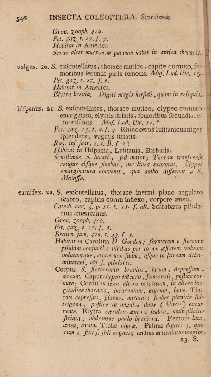 $4$ Gron. Zooph. 420. Pet. gaZ-t* 27. f. 7. Habitat in America Sexus alter mucronem parvum habet in antica thoracis* a ^ valgus. 2©. S. exfcutellatus, thorace mutico, capite cornuto, fe¬ moribus fecundi paris remotis. Muf.Lud.Ulr. /5. /Vf. L 27. f. 8. Habitat in America. Elytra brevia. Digiti magis hirfuti, gitam z/z reliquis. hifpanus* ai. S. exfcutellatus, thorace mutico, clypeo cornuto emarginato, elytris fidatis, femoribus fecundis re- motiffimis. Muf. Lud. Vir. 12. * Pet. gag. 13. t. s. f. 4. Rhinoceros lufitanicus niger fplendens, vaginis ftriatis. RceJ. inf fcar. i.t.B.f 2% Habitat in Hifpania, Lufitania, Barbaria- Simillimus S. lunari , Jed major; Thorax tranfverfe retujus abfque Jinubus , nec linea exaratus. Clypei e marginatur a convenit , qua ambo differunt a S. Moloffo. carnifex. 22. S. exfcutellatus, thorace inermi plano angulato fcabro, capitis cornu inflexo, corpore seneo. Catesb. car. 3. p. it. t. it. f. ult. Scarabaeus pilula- rius americanus. Gron. zooph. 450. Pet. gaz. 't. 27. f. <?. Broivn. jam. 428. t. 43. f. s. Habitat in Cardina D. Garden; formatam e Jlercore pilulam conjunPvs viribus per to.am ajiatem volvunt volutantque, etiam non fuam, ufque in foveam diter- ' minatam, uti f. pilularis. Corpus S. jiercorario brevius, i alum , deprefjum y aeneum. Gap ut clypeo integro ,femiOvali, pojlice cor¬ nuto: Cornum fexu alt.ro obfoletum, in altero lon¬ gitudine thoracis % incurvatum, nigrum, Hve. Tho¬ rax deprejjus, planus, auraiu : fcnber planitie fub- trigona , pojlice in angulus duos ( Maris) excur¬ rente. Elytra cetruleo - anea , Jcabra, multipliciter Jlriata , abdomine paulo breviora. Femora lat ^nea, ovata. Tibiae nigra. Palmae digitis 3, quo¬ rum 2 fixi ffoli ungues; tertius articulatus longior*