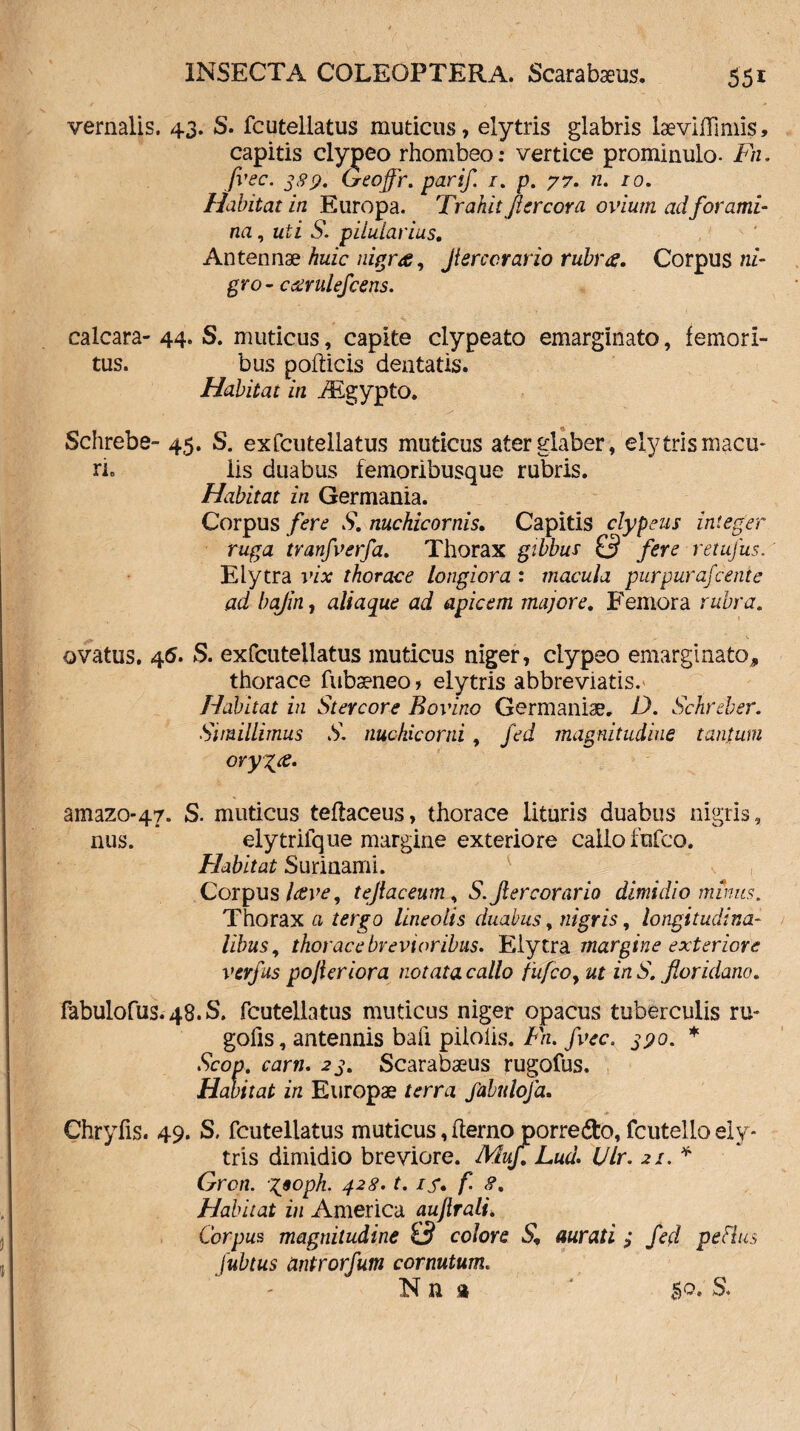 vernalis. 43. S. fcutellatus muticus, elytris glabris laeviflimis, capitis clyjpeo rhombeo: vertice prominulo- Fn. fvec. gsy. Geoffr. parif. 1. p. 77. n. 10. Habitat in Europa. Trahit fi creor a ovium ad forami¬ na , uti S. piiularius. Antennae huic nigra, Jierccrario rubra. Corpus ni¬ gro- ceerulefcens. caleara- 44. S. muticus, capite clypeato emarginato, femori- tus. bus podicis dentatis. Habitat in iEgypto. Schrebe- 45. S. exfcuteilatus muticus ater glaber, elytris macu- ri6 lis duabus femoribusque rubris. Habitat in Germania. Corpus fere S. nuchicornis. Capitis clypeits integer ruga tvanfverfa. Thorax gibbur 0 fere retufus. E lytra vix thorace longiora : macula purpurafeente ad bajin, aliaque ad apicem majore. Femora rubra. ovatus. 45. S. exfcuteilatus muticus niger, clypeo emarginato, thorace fubaeneo, elytris abbreviatis. Habitat in Stercore Bovino Germaniae. D. Schreber. Simillimus S. nuchicorni, Jed magnitudine tantum oryx<£• amazo-47. S. muticus teflaceus, thorace lituris duabus nigris, nus. elytrifque margine exteriore callo fufeo. Flabit at Surinami. Corpus Ceve, tejlaceum, S.Jlercorario dimidio minus. Thorax a tergo lineolis duabus, nigris, longitudina¬ libus, thorace brevioribus» Eiytra margine exteriore verfus pojleriora notata callo fufeo, ut in S. floridano. fabulofus. 48. S. fcutellatus muticus niger opacus tuberculis ru- gofis, antennis bafi pilolis. Fn. fvec. gyo. * Scop. carn. 23. Scarabaeus rugofus. Ha bitat in Europae terra fabulofa. Chryfis. 49. S. fcutellatus muticus ,flerno porre6to, fcutello ely¬ tris dimidio breviore. Muf. Lud. Ulr. 21. * Gron. X90ph• 428'JJ*. f- <?. Flabhat in America aujlrali. Corpus magnitudine 0 colore S, aurati ; fed pefius Jubtus antrorfum cornutum. N n a 50. S.