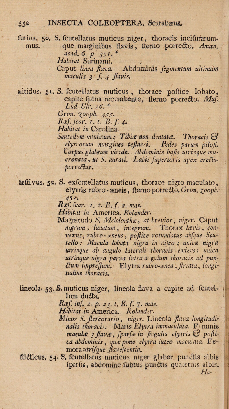 furina. 50. S. fcutellatus muticus niger, thoracis incifurarum- mus. que marginibus flavis, (terno porredo. Amxn, ac ad. 6. p 391.* Habitat Surinamt. Caput linea flava. Abdominis figmentum ultimum maculis 3 fi 4 flavis. , / f Mitidus. 51. S. fcutellatus muticus , thorace pofiice lobato, capite fpina recumbente, (terno porredo. Mufi Lud, Ulr. 26.* Gron. Xpoph. 4SS» Rxfi. ficar. t. t. B. f 4. Habitat in Cardina. Seuteihm minimum; Tibia non dentata. Thoracis & elytrorum margines teflacei. Pedes parum pilofu Corpus glabrum viride. Abdominis bajis utrinque mu¬ cronata, ut S, aurati. Lolii fiuperioris apex ereclo- pornflus. V • , teftivus* 52. S. exfcutellatus muticus, thorace nigro maculato, elytris rubro - aeneis, fterno porredo. Gron. xpoph. 4$ A Rxfi. fcar. r6 f. B. fi <?. mas. Habitat in America. Rolander. Magnitudo S. Melolontha, at brevior, niger. Caput nigrum , lunatum, integrum. Thorax Levis, con¬ vexus, rubro- orneus, pofiice rotundatus abfique Seu- te Ilo: Macula lobata nigra in dijeo ; unica nigra / utrinque ab angulo laterali thoracis exiens: unica utrinque nigra parva intra a gulum thoracis ad pun¬ ctum impie Ilum. Elvtra rubi o-anea, {hiata, longi- ,■ tudine thoracis, H lineola* 53. S. muticus niger, lineola flava a capite ad fcuteL i lum duda. 1 Rxf. infi 2. p. 23. t. B. fi. 7. mas. Habitat in America. Retanda. Minor S. filer cor ar 10, nigtr. Lineola flava longitudi- • ti nalis thoracis. Maris Elyira immaculata. F* minis macules 3 flava, fiparfe in lingulis elytris 0 pofti- ca abdominis, qua pons elytra luteo macuiata. Fe¬ mora utrifque ftavefcentia. ftidicus, 54* S. fcutellatus muticus niger glaber p undis albis fparfis, abdomine fubtus pundis quatenus albis, j • ‘ ' Ha-