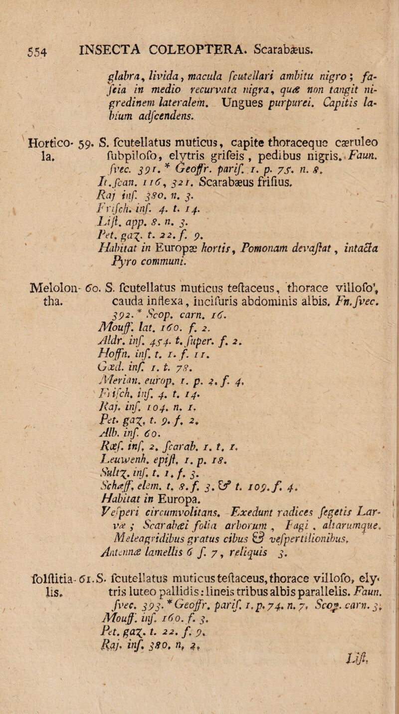 ) 554 INSECTA COLEOPTERA. Scarabaeus. glabra, livida, macula fc ut e 11 ari ambitu nigro; fa- Jfeia in medio recurvata nigra, quis non tangit ni¬ gredinem lateralem. Ungues purpurei. Capitis Ia« bium adfcendens. Hordeo- 59, S. fcutellatus muticus, capite thoraceque caeruleo la. fubpilofo, eiytris grifeis , pedibus nigris. Faun. fvec. 391. * (Feoffr. parif r. p. 7S. n. <9. It.fcan. 116, 321. Scarabaeus frifius. ifo/ inf. 380. n. 3. frifch. inf. 4. t, 14. Lift. app. 8. n. 3. Pet.gax._t. 32. f- 9. Habitat in Europae hortis, Pomonam devajlat, intacta Pyro communi. Melolon- 60. S. fcutellatus muticus tefiaceus, thorace villofo', tha. cauda inflexa, incifuris abdominis albis. Fn.fvec. 392. * Scop. carn. 16. Mouff. lat. 160. f. 2. Aldr. inf. 454- t.fuper, f. 2. Hoffn. inf. t. 1. f. 11. Gxd. inf. 1. t. 78. Merian. europ, r. p. 4. f 4, Frifch. inf. 4. t. 14. Raj. inf. 104. n. 1. Pet. ga%, t. 9. f. 2. Alb. inf 60. Rcef. inf 2. fcarab. 1. t, r. Leuwenh. epifl, r. p. 18. Sult%. inf t. l.f. 3. Schtfff. elem. t. 8.f. 3. & t. 109. f. 4. Habitat in Europa. Vefperi circumvolitans. Exedunt radices fegetis Lar¬ va ; Scarabai folia arborum , Fugi . ah arum que, Meleagridibus gratus cibus 0 vefperttlionibus. Antenna lamellis 6 f. 7, reliquis 3. folftitia-tfi.S. fcutellatus mnticusteftaceus,thorace villofo» ely« lis. tris luteo pallidis: lineis tribus albis parallelis. Faun. fvec. 393. *Geoffr. parif. i.p.74. n. 7» Scop. carn. 3> Mouff'. inf. 160. f. 3. Pet. ga%. t. 22. f. 9. liaj. inf. 380. n, 2, 1.0, •+ > ' '