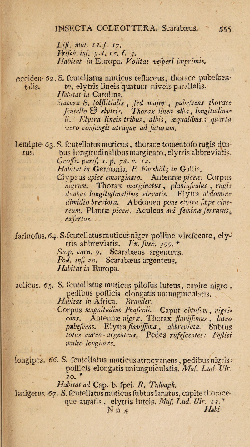 Lijl. nuit. 18. f 17. Frifch. inf. 9. t. /7, f. 3. Habitat in Europa, Volitat vebperi imprimis. occiden* 62. S. fcutellatus muticus teftaceus, thorace pube&ea* talis. te, elytris liueis quatuor niveis parallelis. Habitat in Carolma. Statura S. Jolftitialis , fed major , pubefeens thorace fcutello £? elytris. Thorax linea alba, longitudina¬ li. Elytra lineis tribus, albis, aqualibus ; quarta •vero conjungit utraque ad futuram. hemipte- 53. S. fcutellatus muticus, thorace tomen tofo rugis dua • rus. bus longitudinalibus marginato, elytris abbreviatis. Geoffr. parif. 1. p. 78.11. 12. Habitat in Germania. P. Forskdl; in Galli?, Clypeus apice emarginato. Antennae picea. Corpus nigrum. Thorax marginatus, planiufculus , rugis duabus longitudinalibus elevatis. Elytra abdomine dimidio breviora. Abdomen pone elytra frepe cine¬ reum. Plantae picea;. Aculeus ani femina ferratus9 e xfer tus. .farinofus. 64. S. fcutell atus muticus niger polline virefcente, ely¬ tris abbreviatis. Fn.fvec. 399. * Scop. carn. 9. Scarabaeus argenteus. Pod. inf. 20. Scarabaeus argenteus. Habitat in Europa. aulicus. 55. S. fcutellatus muticus pilofus luteus, capite nigro , pedibus pollicis elongatis uniunguicuJatis. Flabitat in Africa. Brander. Corpus magnitudine Phafeoli. Caput obtufum, nigri* cans. Antennae nigra. Thorax flavifjimus , lutee pubefcens. Elytra flavijjima, abbreviato.. Subtus totus aureo-argenteus. Pedes rufefcentes: Pojlici multo longiores. longipes. 66. S. fcutellatus muticus atrocyaneus, pedibus nigris: pollicis elongatis uniunguiculatis. Muf. Lud TJlr. 20. * Habitat ad Cap. b. fpei. R. Tulbagh. lanigeras. 67. S. fcutellatus muticus fubtus lanatus, capite thorace¬ que auratis, elytris luteis. Muf. Lud. Ulr. 22.* N n 4 Habi-