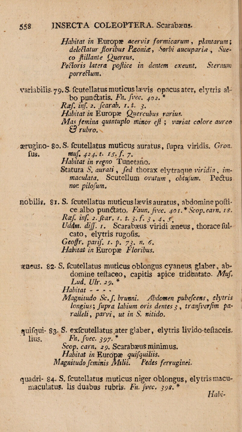 Habitat in Europse acervi* formicarum, plantarum; deleniatur floribus Pesoniec, Sorbi aucupari# , Suc¬ co JlHiante Quercus. Fetioris latera pojlice in dentem exeunt. Sternuan porreHum♦ variabilis. 79. S. fcutellatus muticus laevis opacus ater, elytris al¬ bo pundfcatis. Fn. fvec. 402. * Ree/, inf. 2. fcarab. 1. t. 3, Habitat in Europae Quercubus rarius. Mas femina quintuplo minor ejl ; variat colore aureo 0 rubro. ■ 1 ' aerugino- 80. S. fcutellatus muticus auratus, fupra viridis. Gron. fus. muf. 42 4. t. is. f. 7. Habitat in regno Tunetano. Statura S. aurati, fed thorax elytraque viridia, im¬ maculata. Scutellum ovatum'.y obtufum. Pe&us non pilofum. nobilis, 81. S. fcutellatus muticus laevis auratus, abdomine podi¬ ce albo pun&ato. Faun.fvec. 401.* Scop.carn. 18. Rxf. inf. 2. fcar. 1. t. 3. f. 3 , 4, f. Uddm. dijf. 1. Scarabaeus viridi aeneus, thoracefub cato, elytris rugofis. Geoffr. parif. 1. p. 73. n. 6. Habitat in Europae Floribus. aeoeus, 82- S. fcutellatus muticus oblongus cyaneus glaber, ab¬ domine teftaceo, capitis apice tridentato. Muf Lud. Ulr. 2% * Habitat - - - * Magnitudo Sc.f‘ brunni. Abdomen pubefcens, elytris longius; fupra labium oris dentes3 , tranfverfm pa¬ ralleli, parvi, ut in S. nitido. quifqui- 83. S. exfcutellatus ater glaber, elytris livido-teflaceis, iius. Fn. fvec. 397.* Scop. carn. 29. Scarabaeus minimus. Habitat in Europae quifquiliis. Magnitudo feminis Milii. Pedes ferruginei. quadri- 84. S. fcutellatus muticus niger oblongus, elytrismacu- maculatus, lis duabus rubris. Fn. fvec. 3?$. * Habi-
