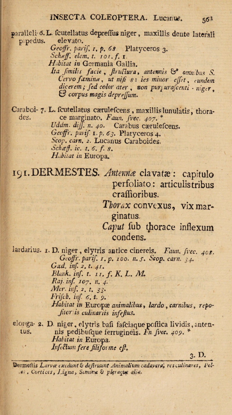 5(5 J paralleli- 6. L. fcutellatus deprefTus niger, maxillis dente laterali pipedus. elevato. Gfoffr. parif /. p. 6§ Platyceros 3. Schtrff. dem. t. ior.f, t. Habitat in Germania Gallia. Ita fimilu facie , fit uclura, antennis omnibus S. Cervo fcemina;, ut nifi 8: ies minor effit, t undem dicerem ; fed color ater , 00« purpurafcenti - niger 9 & corpus magis deprejfum. Caraboi- 7. L. fcutellatus caerulefcens , maxillis lunulatis, thora- des, ce marginato. Faw/z. fvec. 407. * Uddm. diff.n. 40. Carabus cserulefcens. Geoffr. parif. i.p. 63. Platyceros4. 5co/7. carn. 2. Lucanus Caraboides, Schaff. ic. t. 6. f. s. Habitat in Europa. 191. DERMESTES. Antenna clavafas: capitulo perfoliato: articulis tribus craflioribus. Thorax convexus, vix mar¬ ginatus. Cajput fub tliorace inflexum condens. Iardanus, i. D. niger, elytris antice cinereis. Farm. fvec. 40$. Geoffr.parif. r.p. joo. n»s* Scop. carti. 34, Gad. inf. 2, t. 41. Blunk. inf. t. 1 r. /. A. L. /If. Raj. inf. 107. n. 4. inf. 2, t. 33. , Frifcb. inf 6. t. y. Habitat in Europae animalibus 7 lardo, carnibus, rrfo- Jucr is culinariis infejius. elonga- 2, D niger, elytris bafi fafciaque^oflica lividis, anten- tus. nis pedibufque ferrugineis. A fvec. 40;». * Habitat in Europa. Inf edum fere filiforme ejl> 3. D. - Mi .--■r -n—— - - - - 11 ■ -uj. i. r — -r - — — - —r - - — - - Uerrneftis Larvce exedunt & dejlruunt Animalium cadavere, re seut inares, Vel- , Cortices, Ligna, Semma & plfraque alia.