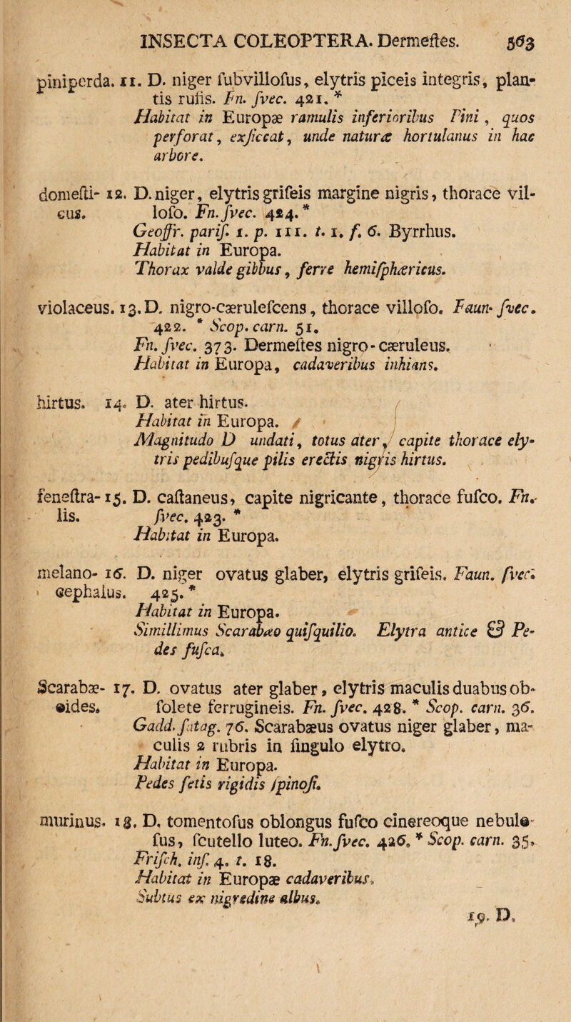 piniperda. ri. D. niger fubvillofus, elytris piceis integris, plan¬ tis rulis. Fn. fvec. 421. * Habitat in Europae ramulis inferioribus Pini, quos perforat, exjiccat, unde natura hortulanus in hac arbore. domefti-12. D.niger, elytrisgrifeis margine nigris, thorace vil- cus. lofo. Fn.fvec. 424.* Geoffr. parif. 1. p. m. 1.1. f. 6. Byrrhus. Habitat in Europa. Thorax valde gibbus, ferve hemifpharicus. violaceus. 13. D, nigro-caerulefcens, thorace villofo. Faun* fvec* 422. * Scop.carn. 51. Fn.fvec. 373. Dermeftes nigro-caeruleus. Habitat in Europa, cadaveribus inhians. hirtus. 14. D. ater hirtus. Habitat in Europa. / J Magnitudo D undati, totus ater, capite thorace ely¬ tris pedibufque pilis erectis nigris hirtus. feneftra-15. D. caftaneus, capite nigricante, thorace fufco. Fn. lis. fvec. 423. * Habitat in Europa. melano- i<5. D. niger ovatus glaber, elytris grifeis. Faun. fvec; Cephalus. 425. * Flabitat in Europa. Simillimus Scarabaeo quifquilio. Elytra antice £5 Pe¬ des fufca. Scarabae- 17. D. ovatus ater glaber, elytris maculis duabus ob¬ lides* folete ferrugineis. Fn. fvec. 428. * Scop. carn. 35. Gadd.fitag. j6. Scarabaeus ovatus niger glaber, ma¬ culis 2 rubris in fmgulo elytro. Habitat in Europa. Pedes fetis rigidis ipinoji. murinus, ig, D, tomentofus oblongus fufco cinereoque nebul® fus, fcutello luteo. Fn.fvec. 426. * Scop. carn. 35, Frif h. inf. 4, t. 18. Habitat in Europae cadaveribus, Subtus ex nigredine albus* 19. D,