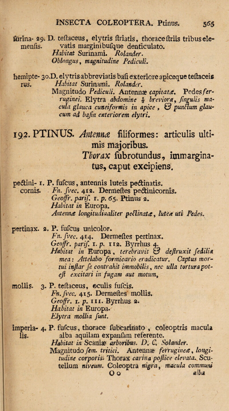 ftirina- 29, D. teftaceus, elytris ftriatis, thorace ftriis tribus ele- menfis. vatis marginibufque denticulato. Habitat Surinami. Rolander. Oblongus, magnitudine Pediculi. hemipte- 30.D. elytris abbreviatis bafi exteriore apiceque teftaceis rus. Habitat Surinami. Rolander. Magnitudo Pediculi. Antennae capitata Pedes fer¬ ruginei. Elytra abdomine * breviora, fmgulis ma¬ cula glauca cuneiformis in apice , 0 punttum glau¬ cum ad bajin exteriorem elytris 192. PTINUS. Antenna filiformes: articulis ulti¬ mis majoribus. Thorax fubrotundus, immargina- tus, caput excipiens. pe&ini-1. P. fufcus, antennis luteis pe&inatis. cornis. Fn. fvec. 412. Dermeftes pedinicornis. Geoffr. parif. 1. p. 65. Prinus 2. Habitat in Europa. Antenna longiiudi nolit er pettinata, lutea uti Pedes. pertinax. 2. P. fufcus unicolor. Fn. fvec. 414. Dermeftes pertinax. Geoffr. parif. r. p. 112. Byrrhus 4. Habitat in Europa, terebravit 0 dejlruxit fedilia mea: Attelabo formicario eradicatur. Captus mor¬ tui injlar fe contrahit immobilis, nec ulla tortura pot- ejl excitari in fugam aut motum9 mollis. 3. P. teftaceus, ©culis fufcis. Fn.fvec. 415. Dermeftes mollis. Geoffr. r. p. m. Byrrhus 2. Habitat in Europa. Elytra mollia funt. imperia- 4. P. fufcus, thorace fubcarinato , coleoptris macula lis. alba aquilam expanfam referente. Habitat in Scaniae arboribus. D. C. Solandeir. Magnitudo fem. tritici. Antennae ferrugine#, longi¬ tudine corporis. Thorax carina pojlice elevata. Scu- tellum niveum. Coleoptra nigra, macula communi O o alba *