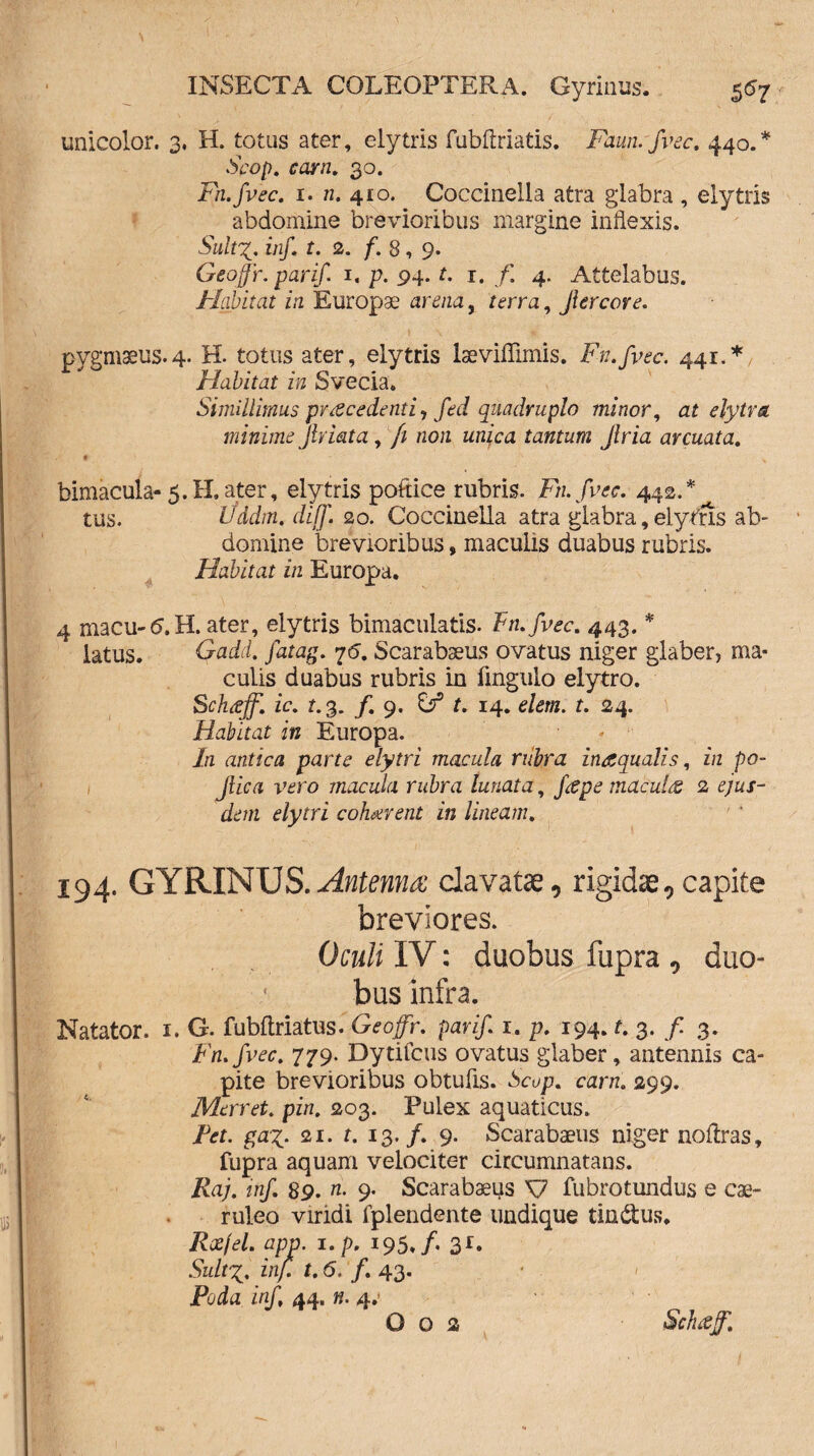 unicolor. 3. H. totus ater, elytris fubftriatis. Faun.fvec. 440.* Scop. carri, 30. Fn.fvec. 1. n. 410. Coccinella atra glabra , elytris abdomine brevioribus margine inflexis. Stlite inf. t. 2. f. 8, 9. Geoffr. parif 1« p. 94. t. r. /. 4. Attelabus. Habitat ia Europae arena, /erra, Jlercore. pygmaeus. 4. H. totus ater, elytris laeviffimis. Fn.fvec. 441.* Flabitat in Svecia. Simillimus procedenti, fed quadruplo minor, at elytvs. minime Jlriata, [1 non unica tantum Jlria arcuata. t bimacula- 5.H»ater, elytris poftice rubris. Fn.fvec. 442.* tus. Uddm. diff. 20. Coccinella atra glabra, elytris ab- domine brevioribus, maculis duabus rubris. Habitat in Europa. 4 macu-<5.H. ater, elytris bimaculatis. fn.fvec. 443. * latus. Gadd. fatag. 76. Scarabaeus ovatus niger glaber, ma¬ culis duabus rubris in fingulo elytro. Scluejf. ic. r. 3. f. 9. Ztf t. 14. eta. r. 24. Habitat in Europa. In antica parte elytri macula rubra inaqualis, in po- Jlica vero macula rubra lunata, fape maculrs 2 ejus¬ dem elytri co licerent in lineam. 194. GYRINUS.Antenna clavatae, rigidae,capite breviores. Oculi IV: duobus fupra , duo¬ bus infra. Natator, i. G. fubftriatus. Geoffr. parif. i. p. 194. f. 3. f. 3. Fn.fvec. 779. Dytifcus ovatus glaber, antennis ca¬ pite brevioribus obtufls. Scop. carn. 299. Merret. pin. 203. Pulex aquaticus. Fet. ga^. 21. t. 13./. 9. Scarabaeus niger noftras, fupra aquam velociter circumnatans. Raj. inf. 89. n. 9. Scarabaeus V fubrotundus e cae¬ ruleo viridi fplendente undique tin&us. Rxfel. app. i.p. 195./. 3r. Suitx* inf. t. 6. f. 43. Poda inf, 44. n. 4.’ G o 2 Sclnef.