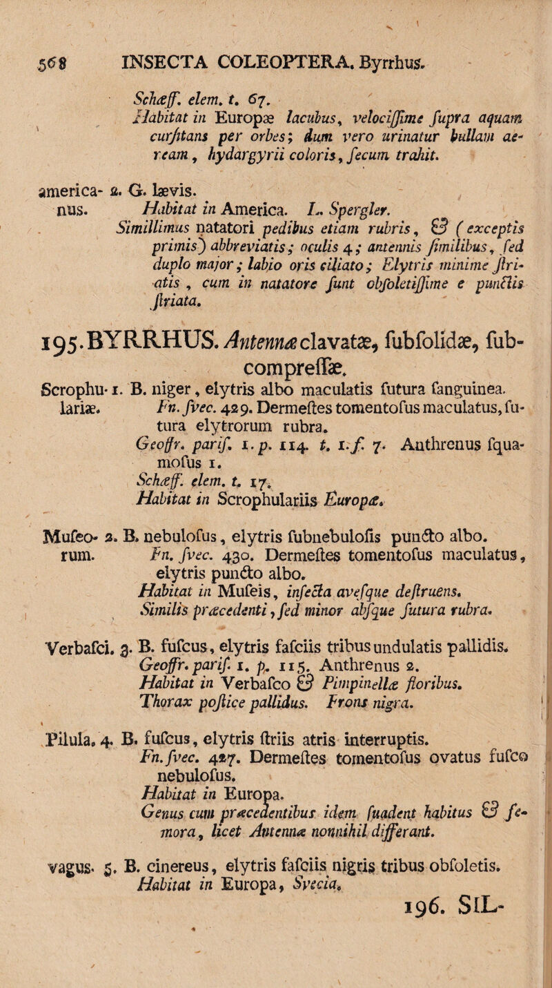 Schceff. elem. t. 67. Habitat in Europae lacubus, velocijfme fupra aquam cur/itans per orbes; dum vero urinatur bullam ae¬ ream , hydargyrii coloris, fecum trahit. america- a. G. laevis. nus. Habitat in America. L. Spergler. Simillimus natatori pedibus etiam rubris, 0 (exceptis primis') abbreviatis; oculis 4,- antennis /milibus, fed duplo major; labio oris ciliato; Elytris minime fri¬ atis , cum in natatore funt obfoletijjime e punttis friata. 195. BYRRHUS. Antenna clavatae, fubfolidse, fub- compreflae. Scrophu-1. B. niger * elytris albo maculatis futura fanguinea. lariae. Fn. fvec. 429. Dermeftes tomentofus maculatus, fu¬ tura elytrorum rubra, Geoffr. parif 1. p. 114. t. i.f 7. Anthrenus fqua- mofus 1. Schtfff. elem. t. 17. Habitat in Scrophulariis Furoptf» Mufeo- 3. B» nebulofus, elytris fubnebulofis piin&o albo, rum. En. fvec. 430. Dermeftes tomentofus maculatus, elytris pun&o albo. Habitat in Mufeis, infecta avefque deflruens. Similis procedenti, fed minor abfque futura rubra. Yerbafci. 3. B. fufeus, elytris fafeiis tribus undulatis pallidis* Geoffr. parif 1. 115. Anthrenus 2. Habitat in Verbafco 0 Pimpinella floribus. Thorax pofiice pallidus. Frons nigra. i Pilula, 4. B. fufeus, elytris ftriis atris interruptis. Fn.fvec. 427. Dermeftes tomentofus ovatus fufeo nebulofus. Habitat in Europa. Genus cum procedentibus idem fuadent habitus 0 fe~ mora, licet Antenna nonnihil differant. vagus* 5. B. cinereus, elytris fafeiis nigris tribus obfoletis. Habitat in Europa, Syecia* 196. SlL-