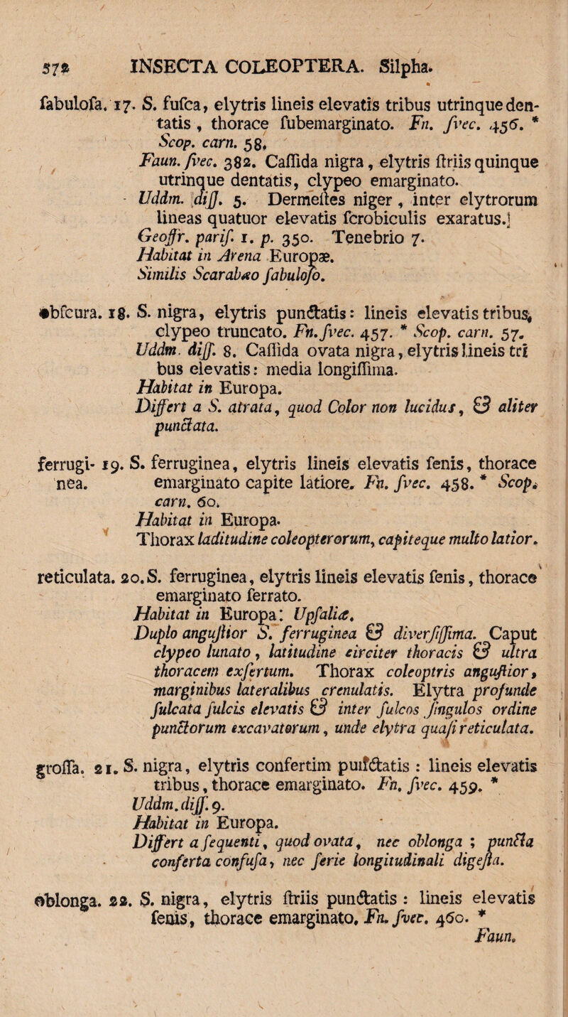 fabulofa. 17. S. fufca, elytris lineis elevatis tribus utrinque den¬ tatis , thorace fubemarginato. Fn. fvec. 456. * Scop. carn. 58. Faun. fvec. 382. Caflida nigra, elytris Uriis quinque utrinque dentatis, clvpeo emarginato. - Uddm. diff. 5. Dermeites niger, intpr clytrorum lineas quatuor elevatis fcrobiculis exaratus.] Geoffr. parif 1. p. 350. Tenebrio 7. Habitat in Avena Europae. Similis Scarabao fabulojo. ! _ »' fcbfeura. ig. S. nigra, elytris pun&atis: lineis elevatis tribus* clypeo truncato. Fn.fvec. 457. * Scop. carn. 57. Uddm, diff. 8. Callida ovata nigra, elytris lineis tri bus elevatis: media longiffima. Habitat in Europa. Differt a S. atrata, quod Color non lucidus, 0 aliter punctata. ferrugi- 19. S. ferruginea, elytris lineis elevatis fenis, thorace nea. emarginato capite latiore, Fn. fvec. 458. * Scop. carn. 60. Habitat in Europa. Thorax laditudine coleopterorum, capiteque multo latior. reticulata. 20.S. ferruginea, elytris lineis elevatis fenis, thorace emarginato ferrato. Habitat in Europa: Upfalia. Duplo angujHor S. ferruginea 0 diverfffima. Caput clypeo lunato, latitudine circiter thoracis 0 ultra thoracem exfer tum. Thorax coleoptris anguftior, marginibus lateralibus crenulatis. Elytra projunde fulcata fulcis elevatis 0 inter fulcos jingulos ordine punctorum excavatorum, unde elytra quaji reticulata. grofla. 21. S. nigra, elytris confertim puifdatis : lineis elevatis tribus, thorace emarginato. Fn. fvec. 459. * Uddm. diff. 9. Habitat in Europa. Differt a fequenti, quod ovata, nec oblonga ; puntfa conferta confuf a, nec ferie longitudinali digejla. oblonga. 22. 3. nigra, elytris ftriis pun&atis : lineis elevatis fenis, thorace emarginato. Fn. fvec. 450. * Faun.