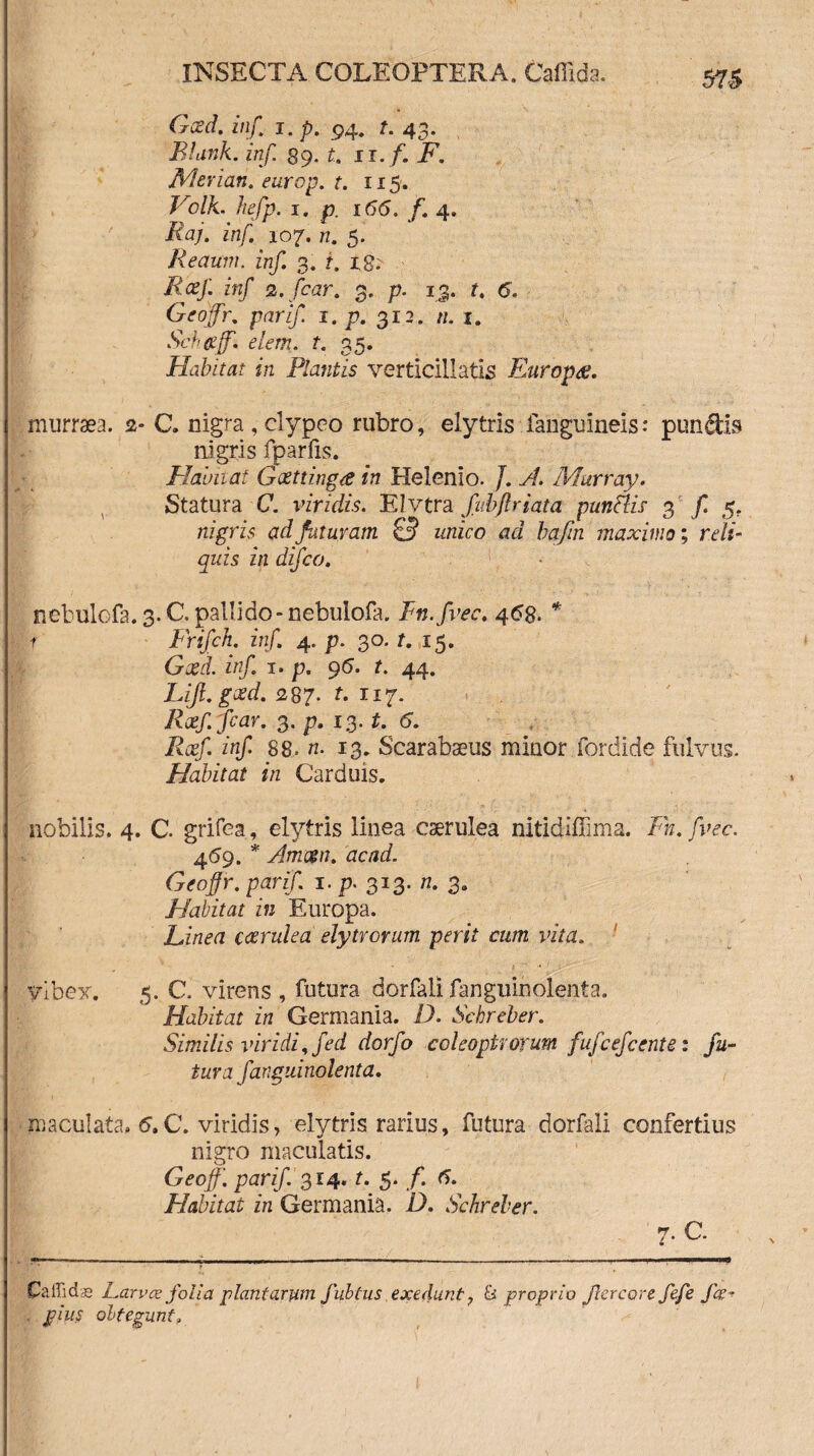 57$ Gxd. inf i. p. 94. t. 43. Bliwk. inf. 89. t.. 11. f. F. Merian. europ. t. 115. Volk. hefp. 1. p. i65. /. 4. Jfy/. inf. 107. tz. 5. Reaum. inf. 3. f, 18; inf 2. icar. 3. p. 13. f. <5. Gfoffr. parif. 1. p. 312. //. 1. Sch&jf. elem. f. 35. Habitat in Plantis vertlcillatis Europa. murraea. 2* C. nigra, clypco rubro, elytris fanguineis: pundis nigris fparfis. Habitat Gxttinga in Helenio. J. A. Murray. Statura C. viridis. Elvtra fubftriata punflis 3 f. 5. nigris ad futuram Q unico ad bafin maximo; reli¬ quis in difco. nebulcfa. 3. C. pallido-nebulofa. Fn.fvec. 4<5g. * f Frifch. inf. 4. p. 30. t. 15. Gtei. inf 1. p. 9(5. t. 44. L//L 287. t. n 7. Rxffcar. 3. p. 13. £. <5. Rxf inf 88. n. 13. Scarabaeus minor fordide fulvus. Habitat in Carduis. nobilis. 4. C. grifea, elytris linea caerulea nitidiffima. Fn.fvec. 459. * Amcen. acad. Geoffr. parif 1. p. 313. n. 3. Habitat in Europa. Einea cxrulea elytrorum perit cum vita. vibex. 5. C. virens , futura dorfall fanguinolenta. Habitat in Germania. D. Sckreber. Similis viridi, fed dorfo coleopitorum fufcefcente 1 fu¬ tura fanguinolenta. maculata» 5.C. viridis, elytris rarius, futura dorfali confertius nigro maculatis. Geoff'. parif 314. t. 5. f. 6. Habitat in Germania. D. Schreber. Callidas Larvee folia plantarum fubtus exedunt 7 & proprio Jlercore fefe faz- . plus obtegunt„