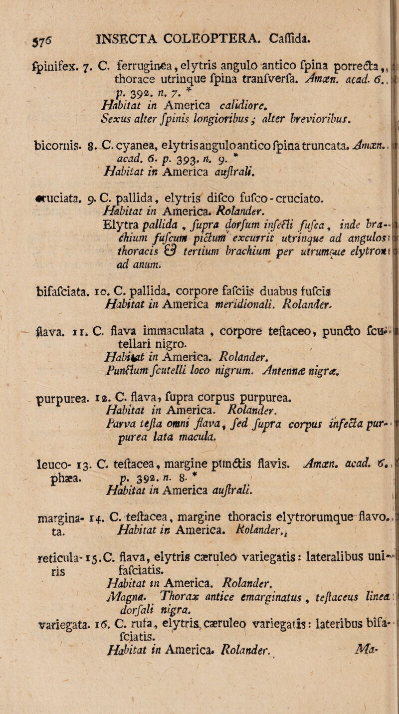 fpinifex. 7. C. ferruginea, elytris angulo antico fpina porre&a,* thorace utrinque fpina tranfverfa. Amcen. acad. 6. p. 392. n. 7. * Habitat in America calidiore. Sexus alter J'pinis longioribus ; alter brevioribus. bicornis. 8. C. cyanea, elytris angulo antico fpina truncata. Amcen. acad. 6. p. 393. n. 9. * Habitat in America auflrali. «ruciata. 9. C. pallida, elytris difco fufco - cruciato. Habitat in America. Rolander. Elytra pallida , fupra dorfum itifefU fufca, inde bra¬ chium fufcuin piclum excurrit utrinque ad angulos thoracis £3 tertium brachium per utrumoue elytro* ad anum. bifafciata. 10. C. pallida^ corpore fafciis duabus fufcis Habitat in America meridionali. Rolander. flava. 11. C. flava immaculata , corpore teflaceo, pun&o fcu* t tellari nigro. Habitat in America. Rolander. PunRum fcutelli loco nigrum. Antenna nigret, purpurea. 12. C. flava, fupra corpus purpurea. Habitat in America. Rolander. Parva tejla omni flava, fed fupra corpus infecta pur¬ purea lata macula. leuco- 13. C. tellacea, margine ptindis flavis. Amoen. acad. e*., phaea. p. 392. n. 8- * Habitat in America auflrali margina- 14. C. tellacea, margine thoracis elytrorumque flavo., ta. Habitat in America. Rolander.t reticula-15.C. flava, elytris ca;ruleo variegatis: lateralibus uni—i ris fafciatis. Habitat tn America. Rolander. Magna. Thorax antice emarginatus , tefiaceus linea dorfali nigra. variegata. 16. C. rufa, elytris^caeruleo variegatis: lateribusbifa* fciatis. Habitat in America. Rolander. Ma*