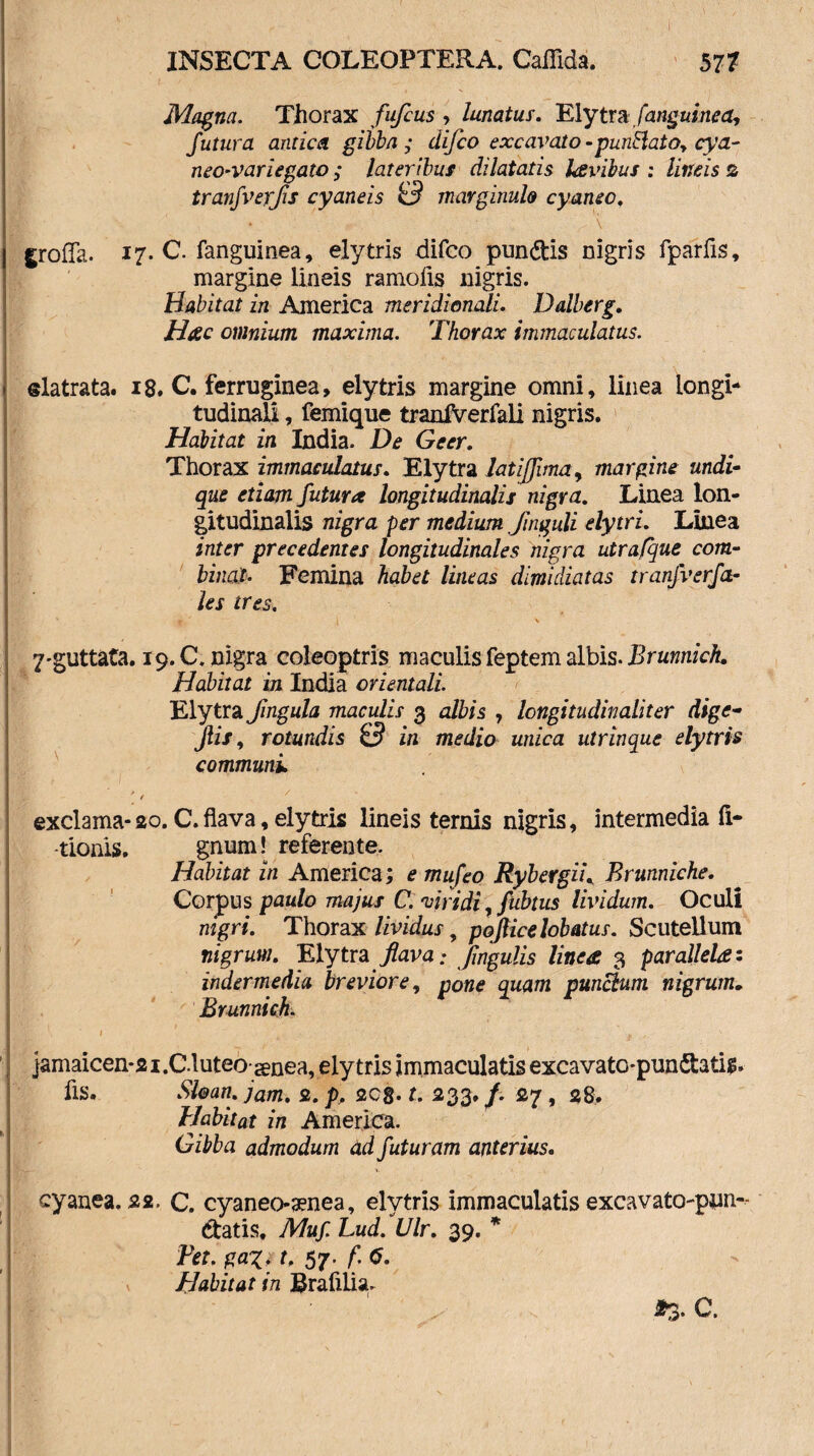 Magna. Thorax fufcus , lunatus. Elytra/awgahtftf, futura antica gibba ; difco excavato -punHato* cya- neo-variegato ; lateribus dilatatis kevibus : lineis s tranfverfis cyaneis 0 marginale cyaneo. y ■ . - \ groffa. 17. C. fanguinea, elytris difco pundis nigris fparfis, margine lineis ramofis nigris. Habitat in America meridionali. Dalberg. Hac omnium maxima. Thorax immaculatus. «latrata. 18. C. ferruginea, elytris margine omni, linea longi¬ tudinali , femique tranfVerfali nigris. Halitat in India. De Geer. Thorax immaculatus. Elytra latiffima, margine undi¬ que etiam futura longitudinalis nigra. Linea lon¬ gitudinalis nigra per medium Jinguli elytri. Linea inter precedentes longitudinales nigra utrafque com¬ binat. Femina habet lineas dimidiatas tranjverfa- les tres. ijjP V ,.f | V 7'guttata. 19. C. nigra coleoptris maculis feptem albis. Brunnich. Habitat in India orientali. Elytra fmgula maculis 3 albis , longitudinaliter dige- Jlis, rotundis 0 in medio unica utrinque elytris communi. ; <■ exclama-20. C.flava, elytris lineis ternis nigris, intermedia fi- -tionis. gnum! referente. Habitat in America; e mufeo Rybergii. Brunniche. Corpus paulo majus C. 'uiridi, fubtus lividum. Oculi nigri. Thorax Uvidus „ poJUcelobatus. Scutellum nigrum. Elytra flava: fmgulis linea 3 parallela: indermedia breviore, pone quam punclum nigrum• Brunnich. I \ * i - ' '' v }amaicen*2i.C.luteo snea, elytris immaculatis excavato-pun datis» fis. Sloan. jam. 2. p. 2Cg. U 233. f. 27 , 28. Habitat in America. Gilba admodum ad futuram anterius. cyanea. 22. C. cyaneo-aenea, elytris immaculatis excavato-pun- datis. Muf. Lud. Ulr. 39. * Fet. ga%. t. 57. f. (5. Habitat in Brafilia. *3-
