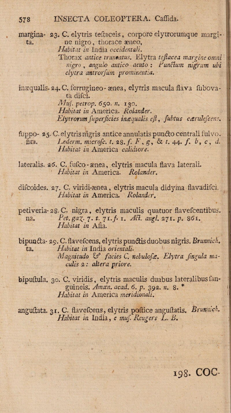 margina' 23. C. elytris teflaceis, corpore elytrorumque margi- ta. ne nigro, thorace aeneo. Habitat in India occidentali. Thorax antice trumatus. Elytra tejlacea margine ctnni nigro , angulo antico acuto : Funclum nigrum ubi elytra antrorfum prominentia. inaequalis. 24.C. ferrugineo - aenea, elytris macula flava fubova- ta difci. MuJ. petrop. 650. 72. 130. Habitat in America. Rolander. Elytrorum fuperjicies inaqualis efi, fubtus candefietis. fuppo- 25. C. elytris nigris antice annulatis pun&o centrali fulvo, lita. Lederm* microfc. t. 28./. F\ g, & f. 44. f. b, c, d. Habitat in America calidiore. lateralis. 26. C. fufco - aenea, elytris macula flava laterali. ' Habitat in America. Rolander. difcoides. 27. C. viridi-aenea, elytris macuja didyma flavadifci. Habitat in America. Rolander. * ’ , ‘  ' _ •; * ¥ , • petiveria-28.C. nigra, elytris maculis quatuor flavefcentibus. na. Pet.gag. 7. t. 71./. 1. AH. angi. 271. p. 8tfi. Habitat in Afia. bipunda- 29. C. flavefcens, elytris pundis duobus nigris. Brunnich. ta. Habitat in India orientali. Magnitudo & facies C. nebulofa. Elytra fmgula ma¬ culis 2: altera priore. bipuftula. 30. C. viridis, elytris maculis duabus lateralibus fan- guineis. Amoen. acad. 6. p. 392. n. 8. * Habitat in America meridionali. anguliata. 31. C. flavefcens, elytris poftice anguflatis. Brunnich. Habitat in India, e muf. Reugers L. B, 198. COC-