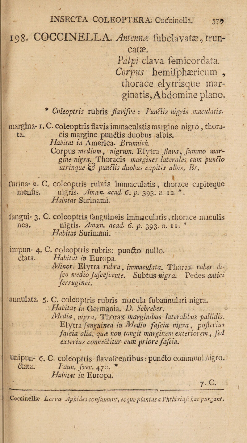 198- COCCINELLA. Antenna fubclavatse, trun¬ catae. Palpi clava femicordata. Corpus hemifphaericum , thorace elytrisque mar¬ ginatis,Abdomine plano. * Coleoptris rubris flavifve : Punctis nigris maculatis. margina-1. C. coleoptris flavis immaculatis margine nigro , thora- ta. cis margine pundis duobus albis. Habitat in America. Brunnich Corpus medium, nigrum, Elytra flava> fummo mar¬ gine nigra. Thoracis margines laterales cum punfto utrinque £? punclis duobus capitis albis. Br. » % furina- 2. C. coleoptris rubris immaculatis, thorace capiteque menfis. nigris. Amxn. acad. 6. p. 393. n, 12 . flabit at Surinami. fangui- 3. C. coleoptris fanguineis immaculatis, thorace maculis nea. nigris. Amxn. acad. 6. p. 393. n. ie. * Habitat Surinami. impun- 4. C. coleoptris rubris: pundo nullo, data. Habitat in Europa. Minor. Elytra rubra, immaculata. Thorax ruber di» fco medio fufcefcente. Subtus nigra. Pedes antici ferruginei. annulata. 5. C. coleoptris rubris macula fubannulari nigra. Habitat in Germania. D. Schreber. Media , nigra. Thorax marginibus lateralibus pallidis. Elytra fanguinea in Medio fafcia nigra, pojlerius fajcia alia, qux non tangit marginem exteriorem, fed exterius comiectitur cum priore fajcia. unipun- 6. C. coleoptris flavefcentibus; pundo communi nigro, data. laun. fvec. 470. * / Habitat in Europa. 7* c. Coccinells Larva Aphides cpnfiimunt, eoque plantas a Phtkiriaji Jiac purgant.