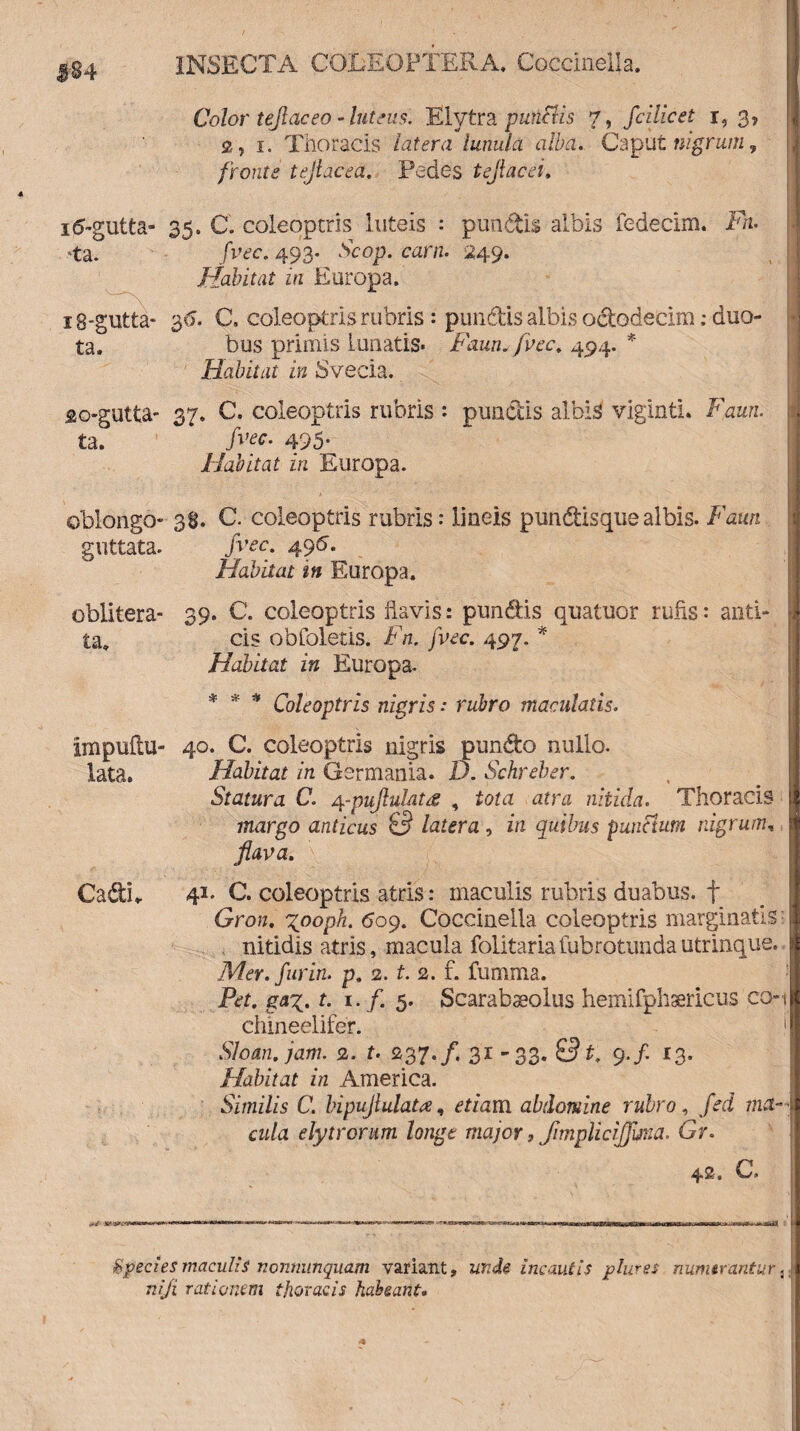 $-84 Color tejlaceo - luteus. Elytra putifHs 7, fcille et 1, 3, 2, 1. Thoracis latera lunula alba. Caput nigrum, fronte tejlacea. Pedes tejlac ei, i5-gutta- 35. C. coleoptris luteis : punctis albis fedecim. Fn. ‘ta. JWc. 493. Scop. carn. 249. Habitat in Europa. i8*gutta- 36. C, coleoptris rubris: pundis albis octodecim; duo- ta. bus primis lunatis* Faun. fvec. 494. * Habitat in Svecia. jaogutta- 37. C. coleoptris rubris : punctis albis viginti. Fami. ta. 495- Habitat in Europa. oblongo- 38. C. coleoptris rubris: lineis pundisque albis. Faun guttata. fvec. 496. Habitat in Europa. oblitera- 39. C. coleoptris flavis: pundis quatuor rufis: anti- ta. cis obfoletis. Fn. fvec. 497. * Habitat in Europa. * * * Coleoptris nigris .* rubro maculatis. Impuftu- 40. C. coleoptris nigris pundo nullo, lata. Habitat in Germania. D. Schreber. Statura C. 4-pujlulatrs , tota atra nitida. Thoracis margo anticus 0 latera , in quibus punctum nigrum, flava. Cadi* 41- C. coleoptris atris: maculis rubris duabus, f Gron. x°°ph. 609. Coccineila coleoptris marginatis nitidis atris, macula folitariafubrotundautrinque. Mer.furin. p» 2. f. 2. f. fumma. Fet. ga%. t. 1. f. 5. Scarabaeolus hemifphaericus co-i chineelifer. 1 Sloan.jam. 2. f* 237./. 31 -33. 01. 9./. 13. Habitat in America. Similis C. bipujlulatabdomine rubro, fed ma¬ cula elytrorum longe major, Jimpliciffmia. Gr. 42. C. species maculis nonnunqmm variant, unde incautis plure* numeranturt niji rationem thoracis habeant.