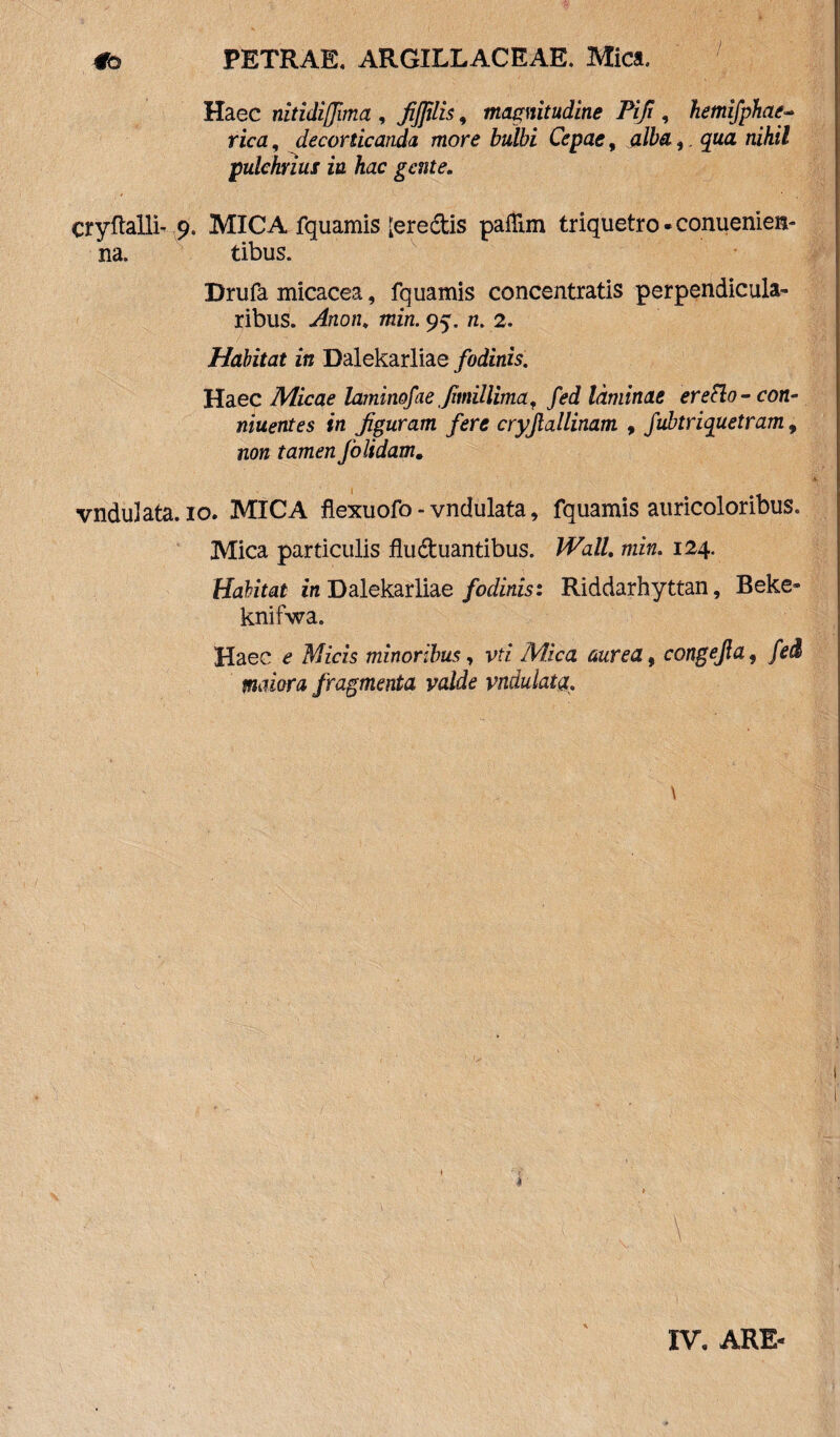 Haec nitidiffima , fijfilis, magnitudine Piji, hemifphaer- rica, decorticanda more bulbi Cepae, nihil pulchrius ia hac gente. cryftalli- 9. MICA fquamis [eredis paffim triquetro - conuenien- na. tibus. Drufa micacea, fquamis concentratis perpendicula» ribus. Anon, min. 95. n. 2. Habitat in Dalekarliae fodinis. Haec Micae laminofae fimillima, fed laminae eretio - con- niuentes in figuram fere cryjlallinam , fubtriquetram 9 non tamen folidam. vndulata. 10. MICA flexuofo - vndulata, fquamis auricoloribus. Mica particulis fluduantibus. Wall. min. 124. Habitat in Dalekarliae fodinis: Riddarhyttan, Beke» knifwa. Haec e Micis minoribus, vti Mica aurea, congejla, fed maiora fragmenta valde vndulata. \ IV. ARE-