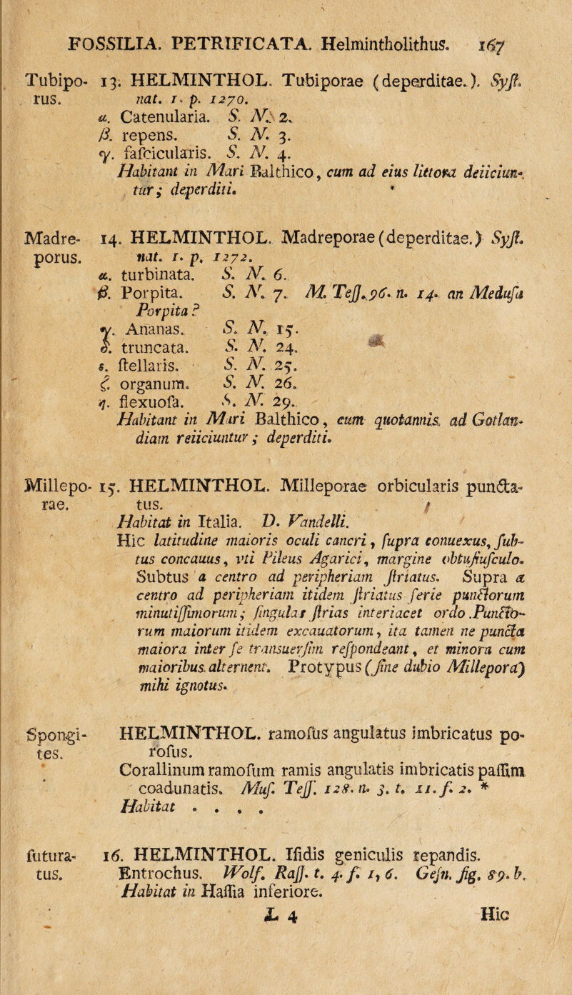 Tubipo- 13. HELMINTHOL. Tubiporae (deperditae.). Syjt. rus. nat. /» p. 1270. a. Catenularia. S. A£ 2. /i. repens. S. N. 3. <y. fafcicularis. S. N. 4. Habitant in Mari Balthico, cum ad eius liet ora deiicim-• r«r ,* deperditi. Madre- 14. HELMINTHOL, Madreporae(deperditae.) Syjl. porus. nat. /. p. /272. «. turbinata. 5. AL 6. Porpita. S*. /Va 7., A/. TeJJ.ytj. n. 14* an Medufa Porpita i3 •v. Ananas. ‘9. A7. 15. i truncata. S*. A7* 24. s. flellaris. ■ S. N. 25. £ organum. S. N.\ 26. «j. fiexuofa. S. N. 29. Habitant in Mari Balthico, quotannis, ad Gotlan* diam reliciuntur ; deperditi Millepo- 15. HELMINTHOL. Milleporae orbicularis pun&a» rae. tus. / Habitat in Italia. D. Vandelli. Hic latitudine maioris oculi cancri, fupra eonuexus, fuh- tus concauus, vti Pileus Agar ici, margine obtujiufculo. Subtus a centro ad peripheriam Jlrtatus. Supra a centro ad peripheriam itidem Jlriatus ferie punflorum minutijjimorum ; fingulai Jlrias interiacet ordo .Pun&o^ rum maiorum itidem excauatorum, ita tamen ne puncta maiora inter fe transuerjim refpondeant, et minora cum maioribus, alternent. Protypus (Jine dubio Millepora) mihi ignotus. Spongi- HELMINTHOL. ramofus angulatus imbricatus po¬ tes. tofus. Corallinum ramofum ramis angulatis imbricatis paflim coadunatis. Muf. TeJJ'. 128. n* 3. t. xi.f. 2. * Habitat «... futura- 16. HELMINTHOL. Ifidis geniculis repandis, tus. Entrochus. Wolf. RaJJ. t. 4. f. /, c. Gejn, jiga 89. l\ Habitat in HaHia inferiore.