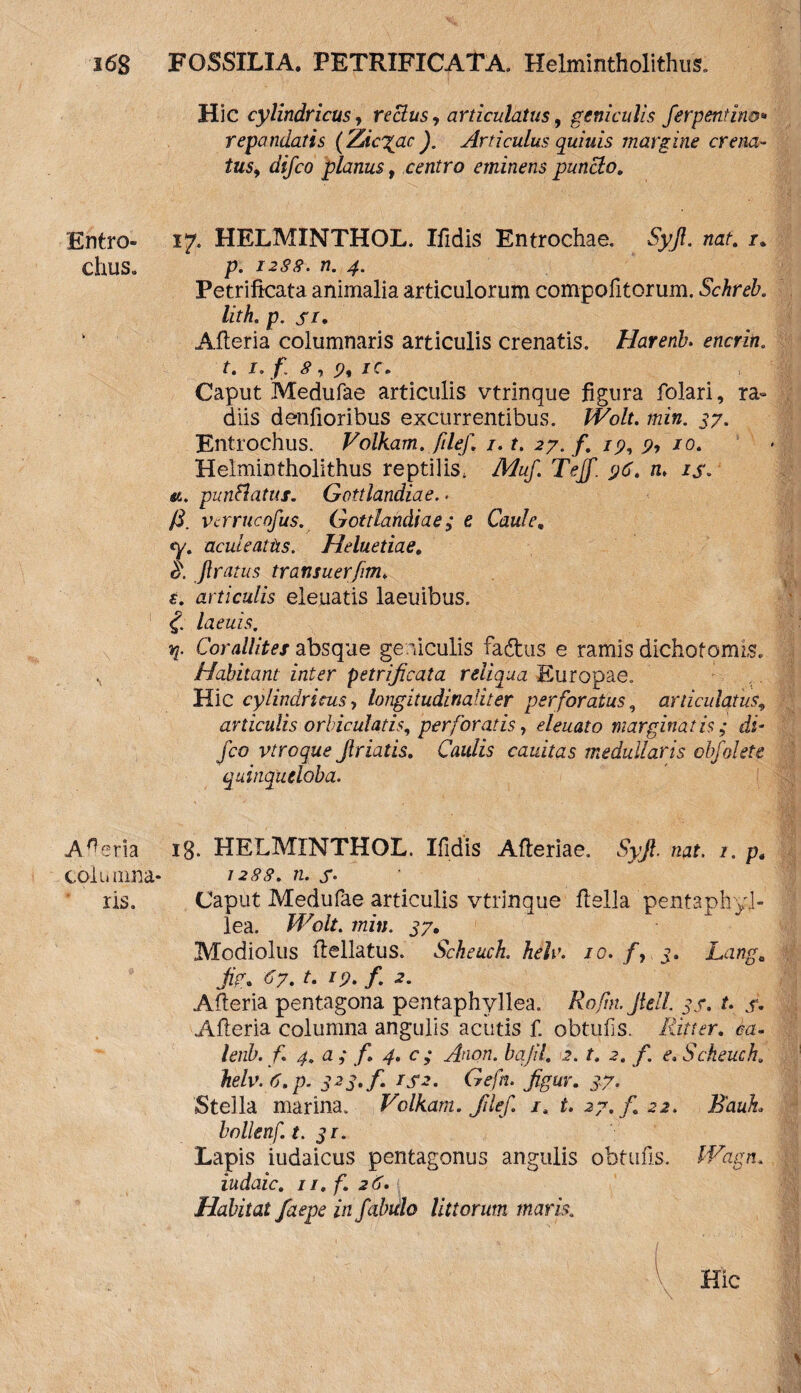 Hic cylindricus, re cius, articulatus, geniculis ferpentino* repandatis (Zic^ac ). Articulus quiuis margine crena- tus, difco planus, centro eminens puncto. Entro- 17. HELMINTHOL. Ifidis Entrochae. Syjl. nat. chus„ p. w. 4. Petrificata animalia articulorum compofitorum. Schreb. lith. p. j-/. k Afteria columnaris articulis crenatis. Harenb. encrin. 7. 1. /. , % JC. Caput Medufae articulis vtrinque figura folari, ra¬ diis denfioribus excurrentibus. Wolt. min. 37. Entrochus. Volkam. filef. 1.1. 27. f. 19, 9, 10. Helmintholithus reptilis, Muf Tejf. 96. n. is. st. punftatus. Gottlandiae.. /?. verrucofus. Gottlandiae; e Caule, <y. acuieattis. Heluetiae, jlratus transuerfim. s. articulis eleuatis laeuibus. «f. laeuis. vp Corallites absque geniculis fadtus e ramis dichofomis. , Habitant inter petrificata reliqua Europae. Hic cylindricus, longitudinaliter perforatus, articulatus\ articulis orbiculatis, perforatis, eleuato marginatis; di- fco vtroque Jlriatis. Caulis cauitas medullaris obfolete quinqueloba. Ameria 18- HELMINTHOL. Ifidis Afteriae. «at. 7. p, coli» ama- n. j*. ris. Caput Medufae articulis vtrinque fiella pentaphyl- lea. IFo/7. min. 37, Modiolus ftellatus. Scheuch. heh\ 10. fy 3. Lang. jfc. ^7. 7. 77. /. 2. Afteria pentagona pentaphyllea. Rofm.Jtell 37. t. f Afteria columna angulis acutis f. obtufis. Ritter. ea- /z?/zL /i 4. a ; f 4. c,- ^zozz. Lz///. 7. 2. /. Scheuch. fo/v. tf.p. 323./. 172. Gefn. figur. 37. Stella marina, Volkam. filef. it t.27.f22. Baufa bollenf. t. sr. Lapis iudaicus pentagonus angulis obtufis. Wagn. iudaic. 11. f. 26. Habitat faepe in fabulo littorum maris. \