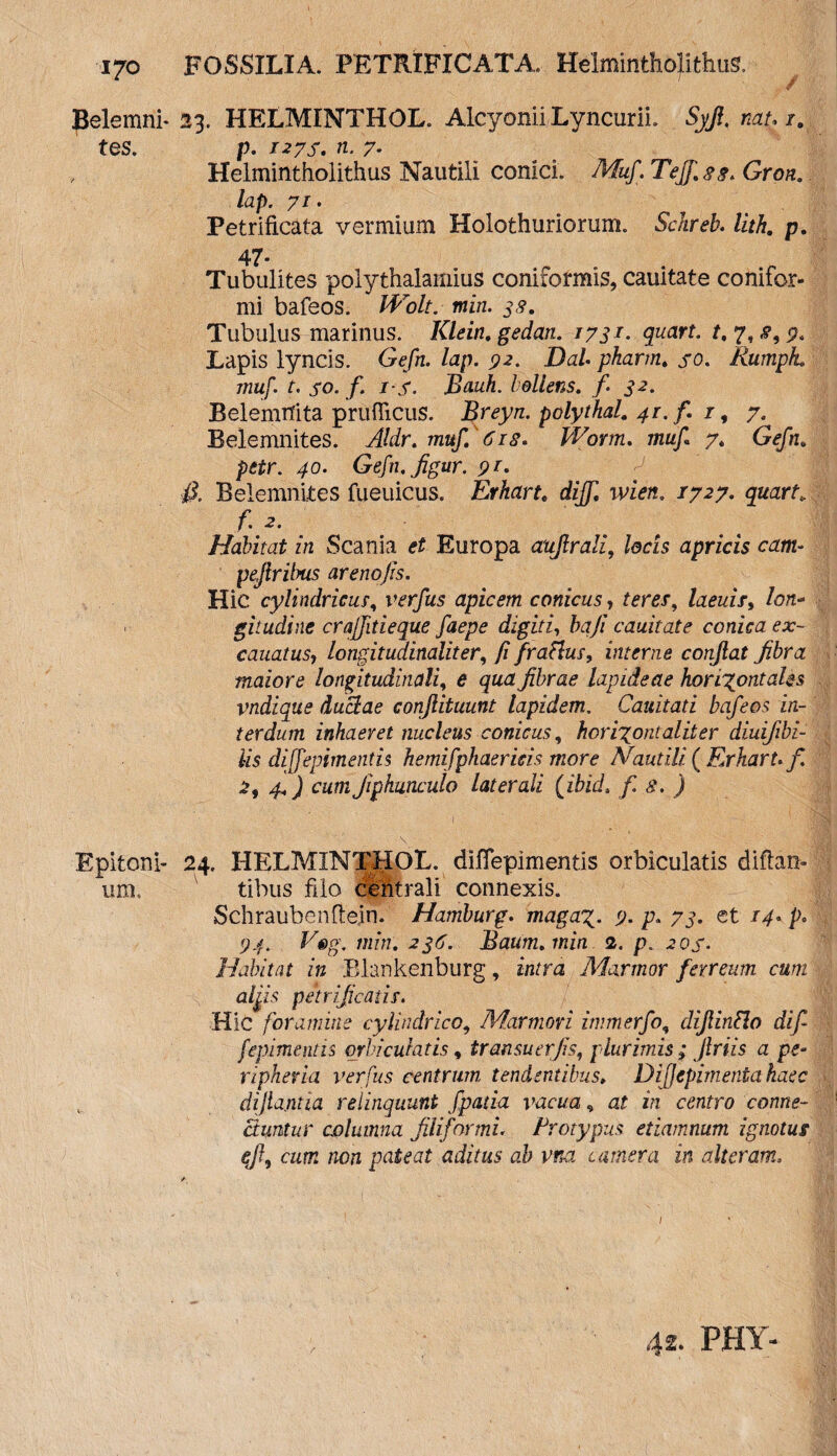 Belemni* 23. HELMINTHOL. Alcyonii Lyncurii. Syft. nau /. tes. p. 127S. n. 7. , Helmintholithus Nautili conici. Muf. Tejf.ss. Gron. lap. 71. Petrificata vermium Holothuriorum. Schreb. lith. p. 47* Tubulites polythalainius coniformis, cauitate conifor- mi bafeos. Wolt. miri. 38. Tubulus marinus. Klein. gedan. 1731. quart. t, 7,% Lapis lyncis. Gefn. lap. 3)2. Dal. pharm. so. Rumpk. muf. t. so. f. i s. Bauh. hollens. fi. 32. Belemrfita prufficus. Breyn. polythal. 41. f. 1, 7. Belemnites. Aldr. muf. 6 r8. Worm. muf. 7. Gefn* pctr. 40. Gefn.Jigur. 91. ll Belemnites fueuicus. Erhart♦ diff. wien. 1727. quart; f. 2. Habitat in Scania et Europa aujlrali, locis apricis eant- pejtribus arenojis. Hic cylindricum verfus apicem conicus, teret, laeuis, /oji- gitudine crajfitieque faepe digiti, baji cauitate conica ex- cauatus, longitudinaliter, fi fraflus, interne confiat fibra maiore longitudinali, e fibrae lapideae horizontales vndique ductae confiituunt lapidem. Cauitati bafeos in¬ terdum inhaeret nucleus conicus, horizontaliter diuifibi- Us diffepimentis hemifphaericis more Nautili ( Erhart. f. 4/) cum Jiphunculo laterali (ibid4 fi 8. ) Epitoni- 24. HELMINTHOL. diflepimentis orbiculatis diftan* uri. tibus filo centrali connexis. Schraubenftein. Hamburg. maga9. p. 73. st 14. p. 94. Eg>g. miti. 236. Baum.min 2. p. 2 os. Habitat in Blankenburg, intra Marmor ferreum cum alfis petriffeatis. Hic foramine cylindrico9 Marmori immerfo, dijlinflo dif¬ fepimentis orbiculatis, iransuerfis, plurimis ; firiis a pe- ripheria verfus centrum tendentibus, DiJJcpimenta haec difianua relinquunt fpatia vacua, at in centro conne- ctuntur columna filiformi. Protygus etiamnum ignotus efi, cum non pateat aditus ab vna camera in alteram, 42. PHY-