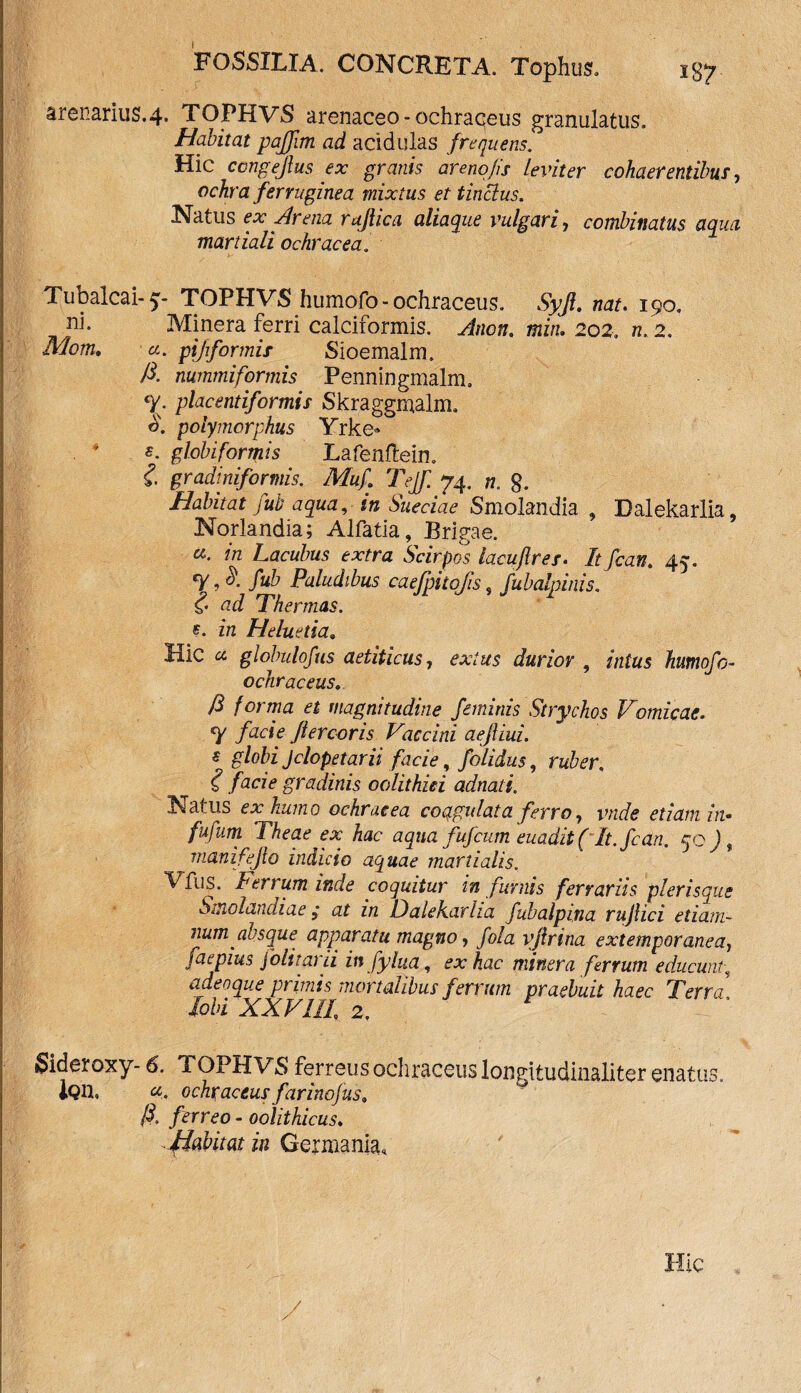 arenarius.4. TOPHVS arenaceo - ochraceus granulatus. Habitat pajjim ad acidulas frequens. Hic congejlus ex granis ar eno jis leviter cohaerentibus ■> ochra ferruginea mixtus et tinclus. Natus ex Ar ena rajlica aliaque vulgari, combinatus aqua martiali ochracea. Tubalcai- 5:- TOPHVS humofo - ochraceus. Syjl. nat. 190. ni. Minera ferri calciformis. Ancn. min. 202» n. 2. Mom. a. pijiformis Sioemalm. fi- nummifqrmis Penningmalm. % placentiformis Skraggmalm. o. polymorphus Yrke» 5. globiformis Lafenftein. & gradiniformis. Muf Tejf. 74. w. 8. fub aqua, in Sueciae Smolandia , Dalekarlia, Norlandia; Alfatia, Brigae. in Lacubus extra Scirpos lacuftres. It fcan. 45. T, ^ M Paludibus caefpkofis, fubalninis. <?• Thermas, e. in Heluetia. Hic globulofus aetiticus, ^/«5 durior , z7z£«5 humofo- ochraceus. y3 forma et magnitudine feminis Strychos Vomicae. T facie flercoris Vaccini aejliui. $ globi Jclopetarii facie, folidus, ra/^r, ? facie gradinis oolithiei adnati. Natus ex humo ochracea coggulata ferroy vnde etiam in• fufum Theae ex hac aqua fufcum euadit ( It. fcan. qo ) t manifejlo indicio aquae martialis. Vfus. Ferrum inde coquitur in furnis ferrariis plerisque Smolandiae ; at in Faleharha fubalpina rujlici etiam- num absque apparatu magno, /0/a vjtrina extemporaneay faepius folitarii infyhia, minera ferrum educunt, adeoque primis mortalibus ferrum praebuit haec Terra lobi XXVIII 2, Sideroxy- 6. TOPHVS ferreus ochraceus longitudinaliter enatus. iQll, ochraceus farinojus, fi. ferreo - oolithicus. Habitat in Germania, Hic