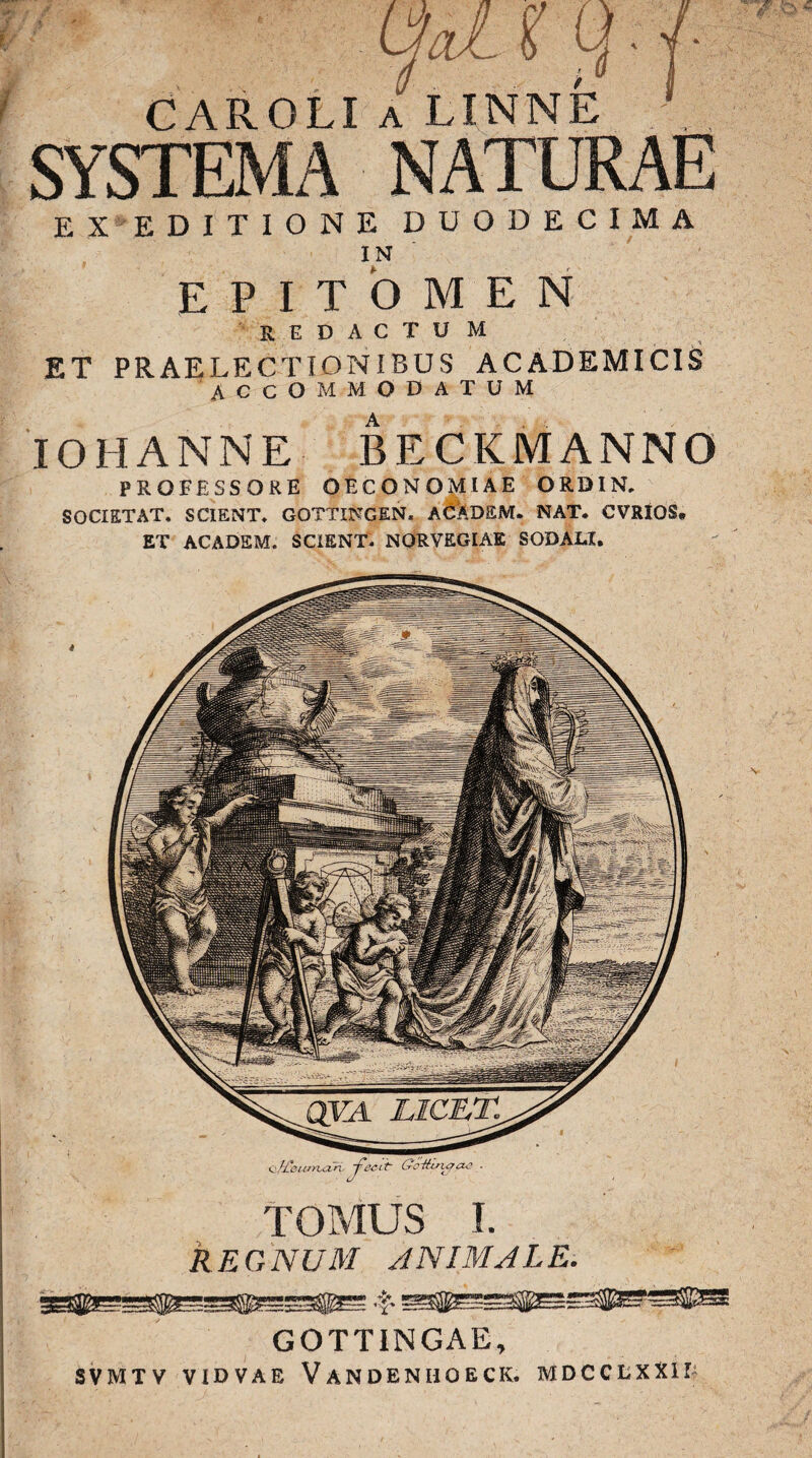 CAROLIaLINNE SYSTEMA NATURAE EX EDITIONE DUODECIMA IN epitomen redactu m ET PRAELECTIONIBUS ACADEMICIS accommodatum IO 1IANNE BECKMANNO PROFESSORE OECONOMIAE ORDIN. SOCIET AT. SCIENT. GOTTINGEN. a£XD£M* NAT* CVRIOS» ET ACADEM. SCIENT. NORVEGIAE SODALI. Q.f&iuruiri, -fecit Go-tttsufae . TOMUS I. REGNUM ANIMALE. GOTTINGAE, SVMTV VIDVAE VaNDENHOECK. MDCCLXXH- V