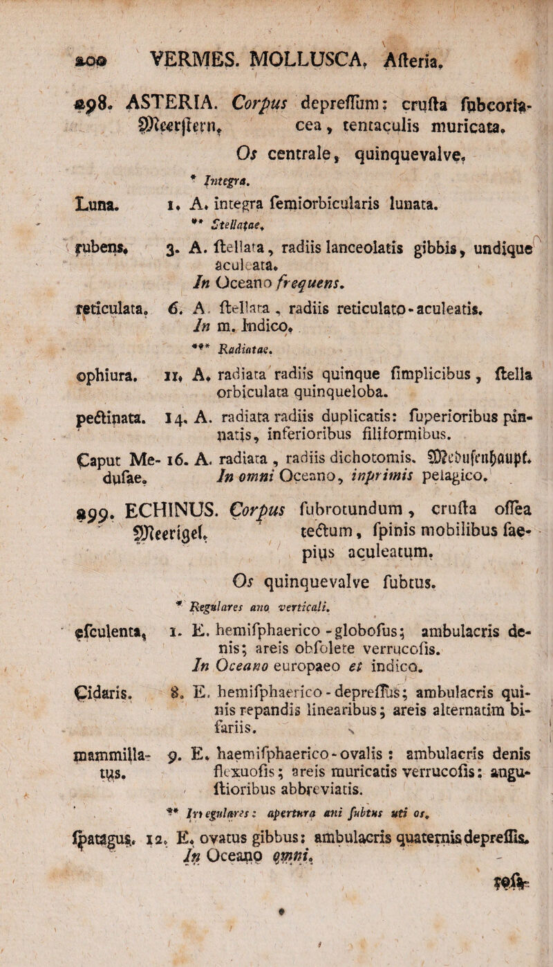 fco® VERMES. MOLLUSCA. Arteria, &p8, ASTERIA. Corpus deprertum: crufta fubcorfa- §ReerjJernt cea, tentaculis muricata. Os centrale, quinquevalve. * Integra. Luna. i* A. integra feiriiorbicuhris lunata. ** SteUatae. jubens, 3. A. Rellata, radiis lanceolatis gibbis, undique aculeata, in Oceano frequens. reticulata, 6. A Rellata, radiis reticulato-aculeatis. In m. Indico, *** Radiatae. ophiura, ir* A, radiata radiis quinque fimplieibus, Rella orbiculata quinqueloba. pettinata. 14, A. radiata radiis duplicatis: fuperioribus pin¬ natis, inferioribus filiformibus. Caput Me-16. A. radiata , radiis dichotomis. Sffieiwfntfjaupf, dufae. In omni Oceano, inprimis pelagico. »99. ECHINUS. Corpus fubrotundum, crurta oflea SReericjel, ce&um, fpinis mobilibus fae* piqs aculeatum. Os quinquevalve fubtus. ©fculenta, Cidaris. * Regulares ana verticali. t 1. E. hemifphaerico -globofus; ambulacris de¬ nis; areis ohfolete verrucofis. In Oceano europaeo et indico. f 8» E. hemifphaerico-deprefTus; ambulacris qui¬ nis repandis linearibus; areis alternarim bi¬ fariis. \ mammilla- t^s. 9. E, haemifphaerico-ovalis : ambulacris denis flexuofis; areis muricatis verrucofis: angu- / Rioribus abbreviatis. ** Ir> egnlares: apertura ani fubtus uti os. Ipatagusu 12. E, ovatus gibbus: ambulacris quatepqisdepreflis. In Oceanp QMnh