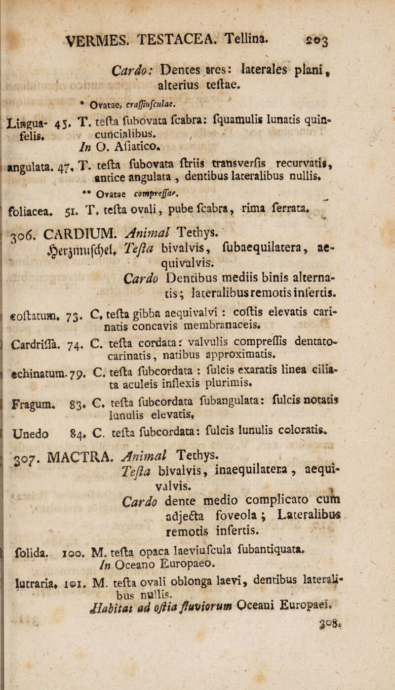 Cardo: Dentes ftres: laterales plani, alterius cellae. * Ovatae, craflinfculae. Lingua- 45. T. tefta fubovata fcabra: fquamulis lunatis quin- felis. cuncialibus. In O. Afiatico. angulata. /L7. T. tefta fubovata Uriis tratisverfis recurvatis, * antice angulata , dentibus lateralibus nullis* *# Ovatae compreffar. foliacea. 51. T. tefta ovali, pube fcabra, rima ferrata. * • 306. CARDIUM. Animal Tethys. AmmufiM* Tefta bivalvis, fubaequilatera, ae- quivalvis. Cardo Dentibus mediis binis alterna¬ tis ; lateralibus remotis infertis. «goftatum, 73. C. tefta gibba aequivalvi : coftis elevatis cari¬ natis concavis membranaceis* ) Cardrifta. 74. C. tefta cordata t valvulis compreffis dentato- carinatis, natibus approximatis. ! echinatum. 79. C. tefta fubcordata : fulcis exaratis linea cilia¬ ta aculeis inflexis plurimis* 1 Fragum. 83* C* tefta fubcordata fubangulata: fulcis notatis lanulis elevatis* t Unedo 84. C. tefta fubcordata: fulcis lunulis coloratis. ■ 307. MACTRA. Animal Tethys. Tefta bivalvis, inaequilacera, aequi- valvis. % Cardo dente medio complicato cum adje&a foveola \ Lateralibus remotis infertis. j folida. 100. M. tefta opaca laeviufcula fubantiquata. In Oceano Europaeo. lutraria, i©i. M. tefta ovali oblonga laevi, dentibus laterali¬ bus nullis. Habitat ad oftia fluviorum Qceani Europaei. I ’ . 2°^
