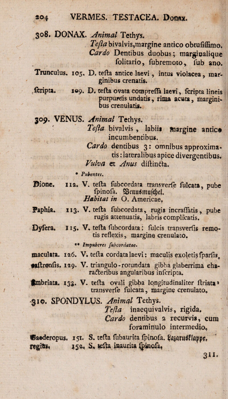 308. DONAX. Animal Tethys. Tefta bivalvis,margine antico obtufiilimo. Cardo Dentibus duobus; margiualique folitario, fubremoto, fub ano. Trunculus. 105. D. tefta antice laevi , intus violacea, mar¬ ginibus crenatis. fcripta. 109. D. tefta ovata comprefla laevi, fcripta lineis purpureis undatis, rima acuta, margini¬ bus crenulatis. 309. VENUS. Animal Techys. Tefta bivalvis, labii* margine amice incumbentibus. Cardo dentibus 3: omnibus approxima¬ tis : lateralibus apice divergentibus* Vulva et Anus diftintta. • Pubentes, Dione. na. V. tefta fubcordata transverfe fulcata, pube fpinofa. 3Senu6mu|1$el. liabit ai in O. Americae* Paphia. 113. V. tefta fubcordata, rugis incraftatis, pube , rugis attenuatis, labris complicatis. Dyfera. I15. V. tefta fubcordata; fulcis trapsverfls remo¬ tis reflexis, margine crenulato. ** Impuberes fubcordatae. maculata. ia6. V* tefta cordata laevi: maculis exoletis fparfts^ ftftrenfis. 129. V. triangulo-rotundata gibba glaberrima eha- radfceribus angularibus infcripta. fimbriata. 133. V. tefta ovali gibba lqngitudinaliter ftriata* transverfe fulcata, margine crenulato* -310. SPONDYLUS. Animal Tethys. Tefta inaequivalvis, rigida. Cardo dentibus 2 recurvi*, cum foraminulo intermedio* ®aederopus. 151. S. tefta fubaurita fpinofa. agitis* 152, S* lefta inaurita Jjpimofa, 311.