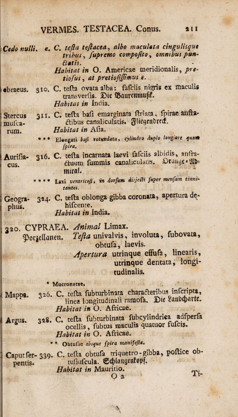 r£do nulli e. C. te fla tefiacea, albo maculata cingulisqui tribus, fuprctno compofito, omnibus pun- flatis. Habitat in O. Americae meridionalis, tiofus, protiofijjimus s. «braeus. 310. C. tefta ovata alba: fafciis nigris ex maculis transverlls. Dic SBaurcnniufif. Habitat in India. Stercus 311. C* tefta bali emarginata ftriata, fpirae anfra- mufca- £tibus canaliculatis* gliegenfcrei. rum. Habitat in Alia, *** Elengati baji rotundata, cylindro duplo longiore quam fplra. Aurifia- 316. C. tefta incarnata laevi fafciis albidis, anfra- cus> dtuum fummis canalicuktrs. Drauge * mirflL 4 * * »* taxi ventricofi, in dorfum disjetti fuper menfam tinnii tantes. Geogra- 364. C. tefta oblonga gibba coronata, apertura de- phus. hifcente. Habitat in India, 220. CYPRAEA. Animal Limax. 9>orjellanetn univalvis, involuta, fubovata, obtufa, laevis. Apertura utrinque effufa, linearis, utrinque dentata, longi¬ tudinalis. * Mucronatae» Mappa. 326. C. tefta fubturbinata charafteribus inferipta, linea longitudinali ramola. ©ic Sanbcjjartc, Habitat in O. Africae. ,ag C. tefta fubturbinata fubcylindriea adfperfa ocellis, fubtus maculis quatuor tufcis. Habitat in O. Africae. * * Obtufae absque fpira manifeJU. Caput fer-330. C. tefta obtufa triquetro-gibba, pollice ob- pentis* tufiufcula. ©cfjlaugenfppf. Habitat in Mauritio. O a