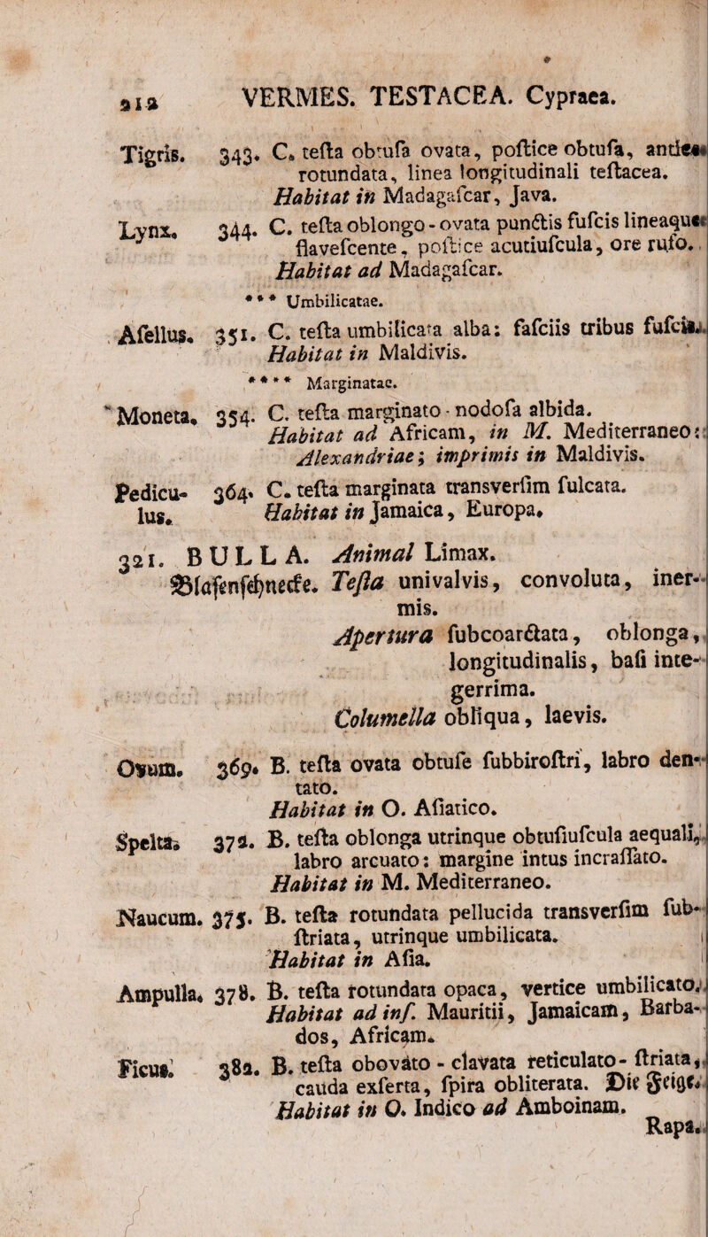 5*1» Tigris. 343* C, tefla obtufa ovata, poflice obtufa, antici rotundata, linea longitudinali teflacea. Habitat in Madagafcar, Java. Lvnx, 3A4. C. tefla oblongo - ovata pundtis fufcis lipeaquct J * flavefcente, pollice acutiufcula, ore rufo. Habitat ad Madagafcar. *** Umbilicatae. Afellus. 3<i. C. refla umbilicata alba: fafciis tribus fufcm ‘ ■ * Habitat in Maidivis. * * * * Marginatae. Moneta, 354. C. refla marginato - nodofa albida. Habitat ad Africam, in M. Mediterraneo«:j Jlexandriae; imprimis in Maidivis. Pedicu- 364» C* refla marginata transveriim fulcata. Ius, Habitat in Jamaica, Europa, 321. BULLA. Animal Limax. 33kftmfef}mcfe. Te/Ia uni valvis, convoluta, iner-t mis. Apertura fubcoardlata, oblonga, longitudinalis, bafi inte¬ gerrima. Columella obliqua, laevis. 0*um. 369» B. te fla ovata obtufe fubbiroftri, labro den-1 tato. Habitat in O. Afiatico. Speltas 37». B. tefla oblonga utrinque obtufiufcula aequali, labro arcuato: margine intus incraflato. Habitat in M. Mediterraneo. Naucum. Ampulla* Ficus. 375. B. tefla rotundata pellucida transverfim fub* llriata, utrinque umbilicata. 1 Habitat in Afia. > 378. B. tefla rotundata opaca, vertice umbilicato. 1 Habitat adinf,\ Mauritii, Jamaicam, Barba-i dos, Africam. 381. B. tefla obovato - clavata reticulato- flriata, i cailda exferta, fpira obliterata. Habitat in O* Indico ad Amboinam. Rapa, f