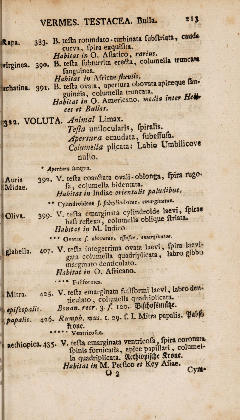) VERMES. TESTACEA. Bulla. *>S !tapa. 383. B. terta rotundato - turbinata fubftriata, cauda curva, fpira exquifita. Habitat in O. Afiarico, rarius. rirginea. 390. B. tefta fubturrita erefta, columella trunca» fanguinea. .. Habitat in Africae fluvtts. ichatina. 391. B. tefta ovata, apertura obovata apieeque B 14 39 guineis, columella truncata. Habitat in O. Americano, media inter tiem ces et Bullas» **a. VOLUTA. Animal Limax. Tefta unilocularis, fpiraus. Apertura ecaudata, fubeffufa. Columella plicata; Labio Umbihcove nullo. Auris Midae. Oliva. * Apertura integra» 39a. V. tefta coartata ovali-oblonga, fpira rugo* fa, columella bidentata. Habitat in Indiae orientalis paludibus* ** Cylihdroideae fnbcytindricae, «marginatae.. oqo. V. tefta emarginata cylindroide la*v^ fpir!le 399 bafi reflexa, columella oblique Unat*. Habitat in M. Indico * * * Ovatae jf. oh ovatae* effufae > «marginatae. , 1 11« v’Mla integerrima ovata laevi, fpira laevia glabella. 407- • ga“'coluI5ellaquadriplicata , labro gibbo marginato denticulato. Habitat in O. Africano. »**♦ Fufifonnes. Mitra. 424. V,tefta emarginata fuft.fbrmihevi, laorodert* tieulato, columella quadriplicata. epifcopalis. Bonati» recr. 3./ 120. $i{$Ppmufte. papalis. 4*6. wuu t. *1* Mitra papalis. W \ frone. ***** Ventricofae. sefhioDica. 131. V. tefta emarginata ventricofa, fpira corona», aeduopica. 435- ^ fornfcatJ^ apice papillari, columel¬ la quadriplicata. ovtonf. Habitat in M. Perfico et Key Aliae.
