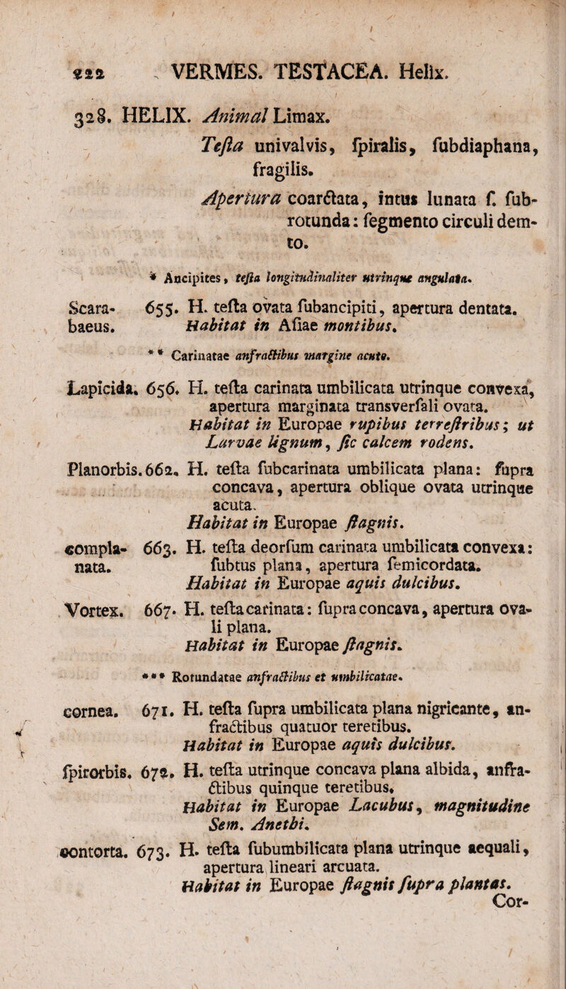 tiz ; VERMES. TESTACEA. Helix. 328. HELIX. Animal Limax. Tejla uni valvis, Ipiralis, fubdiaphana, fragilis. Apertura coar&ata, intus lunata f. fub- rotunda: Tegmento circuli dem- to. '* Ancipites, tejla longituclinaliter utrinqm angulata. Scara- 655. H. tella ovata fubancipiti, apertura dentata, baeus. Habitat in Aliae montibus. * * Carinatae anfrattibus margine acuta. Lapicida. 656. H. tella carinata umbilicata utrinque convexa, apertura marginata transverfali ovata. Habitat in Europae rupibus terreflribus; ut Larvae lignum, fic calcem rodens. Planorbis.662, H. tella fubcarinata umbilicata plana: fupra concava, apertura oblique ovata utrinque acuta. Habitat in Europae ftagnis. «ompla- 663. H. tella deorfum carinata umbilicata convexa: nata. fubtus plana, apertura femicordata. Habitat in Europae aquis dulcibus. Vortex. 667. H. tella carinata: fupra concava, apertura ova¬ li plana. Habitat in Europae ftagnis. * Rotundatae anfrattibus et umbilicatae* cornea. 671. H. tella fupra umbilicata plana nigricante, an- fra&ibus quatuor teretibus. Habitat in Europae aquis dulcibus. fpirorbis. 672. H. tella utrinque concava plana albida, anfra¬ ttibus quinque teretibus. Habitat in Europae Lacubus, magnitudine Sem. Anetbi. contorta. 673. H. tella fubumbiltcara plana utrinque aequali, apertura lineari arcuata. Habitat in Europae ftagnis fupra plantas. Cor-