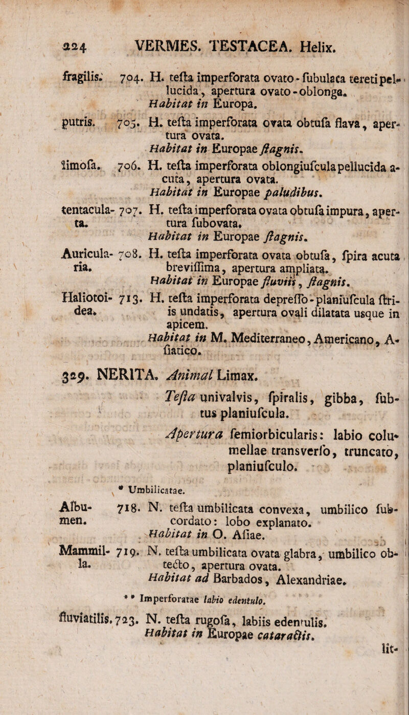 fragilis. 704. H. tefla imperforata ovato - fubulaca teretipel* lucida, apertura ovato-oblonga. Habitat in Europa. putris. 705. H. tefla imperforata ovata obtufa flava, aper¬ tura ovata. Habitat in Europae fi agnis. iimofa. 706. H. tefla imperforata oblongiufcula pellucida a- cuta, apertura ovata. Habitat in Europae paludibus. tentacula- 707. H. tefla imperforata ovata obtufa impura, aper¬ ta. tura fubovata* Habitat in Europae fi agnis. Auricula- 708. H. tefla imperforata ovata obtufa, fpira acuta ria. brevifflma, apertura ampliata. Habitat in Europae fluviis, fiagnis. Haliotoi- 713. H. refla imperforata depreffo - planiufcula fhi- is undatis, apertura ovali dilatata usque in apicem. Habitat in M. Mediterraneo, Americano. A* muco. 329. NERITA, Animal Limax. Tefla univalvis, fpiralis, gibba, fub- tus planiufcula. Apertura femiorbicularis: labio colu* 1 mellae transverfo, truncato, , planiufculo. N * Umbilicatae. Albu- 718. N. tefla umbilicata convexa, umbilico fub- men. cordato: lobo explanato. Habitat in O. Aliae. Mammil- 7*9* N. tefla umbilicata ovata glabra ,umbilico ob- i la. tedo, apertura ovata. Habitat ad Barbados, Alexandriae. * * Imperforatae labio edentulo. fluviatilis. 723. N. tefta rugofa, labiis edentulis. Habitat in Europae cataraClis. I lit
