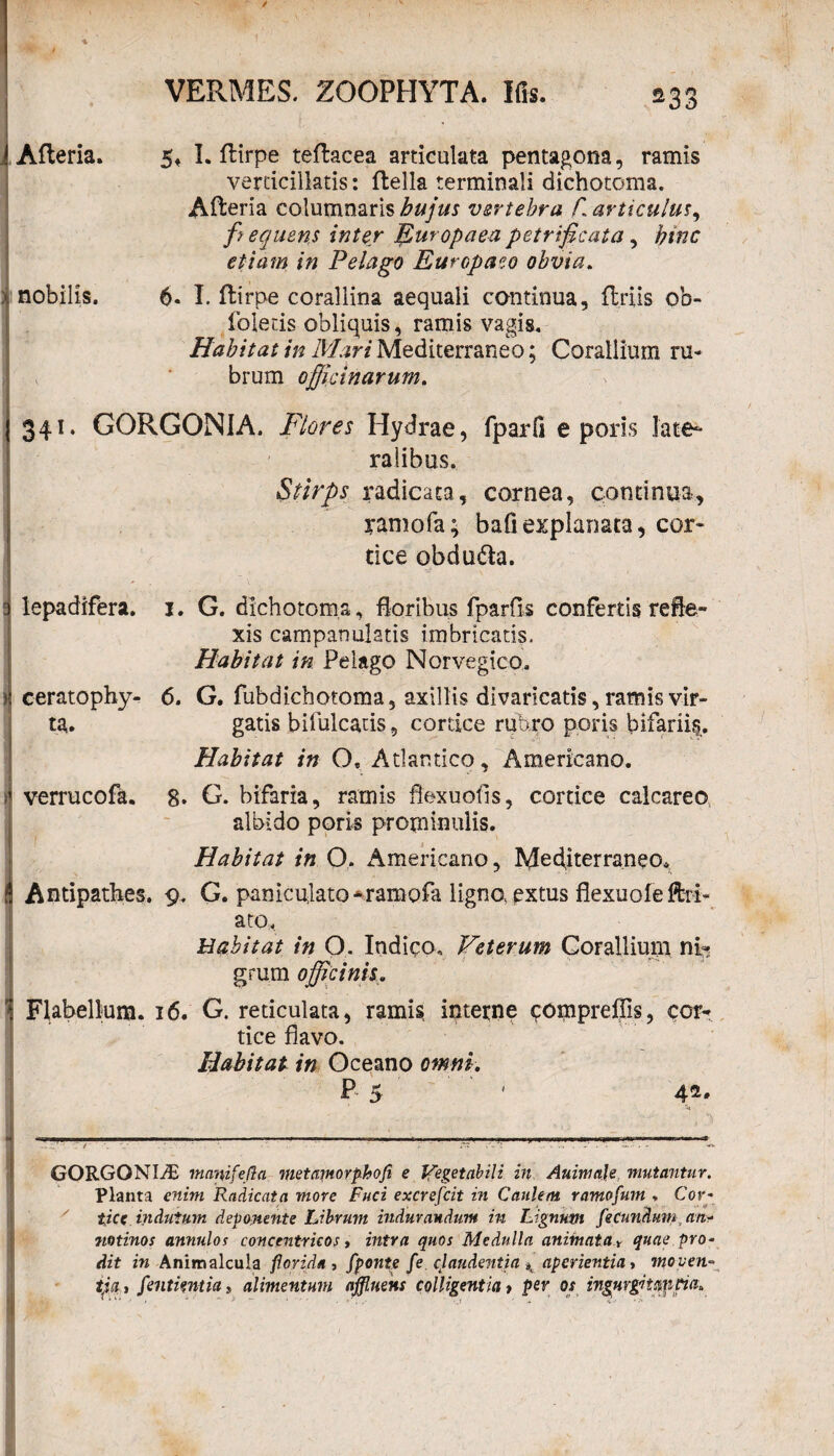s33 i Afteria. 5, I. ftirpe teftacea articulata pentagona, ramis verticillatis: ftella terminali dichotoma. Afteria columnaris hujus vertebra f. articulus^ frequens inter Europaea petrificata, hinc etiam in Pelago Europaeo obvia. x nobilis. 6* I. ftirpe corallina aequali continua, ffcriis ob- foletis obliquis, ramis vagis. Habitat in Mari Mediterraneo; Corallium ru¬ brum officinarum. 341. GORGON1A. Flores Hydrae, fparfi e poris late¬ ralibus. Stirps radicata, cornea, continua, ramofa; bafl explanata, cor¬ tice obdu&a. lepadifera. 1. G. dichotoma, floribus fparfis confertis refle¬ xis campanulstis imbricatis. Habitat in Pelago Norvegico. > ceratophy- 6. G. fubdichotoma, axillis divaricatis, ramis vir- ta. gatis bifulcatis, cortice rubro poris bifariis. Habitat in Ot Atlantico, Americano. ' i verrucofa. 8. G. bifaria, ramis flexu otis, cortice calcareo, albido poris prominulis. Habitat in O. Americano, Mediterraneo* J Antipathes. 9. G. paniculato*ramofa ligno,extus flexuofeftri- ato. Habitat in O. Indico, Veterum Corallium ni? grum officinis 1 Flabellum. 16. G. reticulata, ramis interne compreffis, cor¬ tice flavo. Habitat in Oceano omni. P 5 ' 4*' G ORGONI^E mnnifefla met amorpho fi e Vegetabili in Animale mutantur. Planta enim Radicata more Fuci excrefcit in Caulem ramofum , Cor- tice indutum devomente Librum indurandum in Lignum fecundum an¬ notinos annulof concentricos, intra quos Medulla anifnata * quae pro¬ dit in Aniroalcula florida, fponte fe claudentia K aperientia, moven¬ tia, fentkntia, alimentum affluens colligentia, per os ingurgitantia*