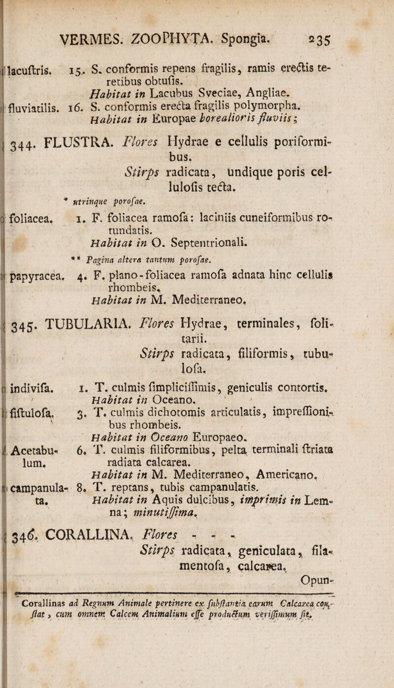 / VERMES. ZOOPHYTA. Spongia. 235 lacuftris. 15, S. conformis repens fragilis, ramis eredlis te¬ retibus obtufis. Habitat in Lacubus Sveciae, Angliae. fluviatilis. 16. S. conformis ere&a fragilis polymorpha. Habitat in Europae borealioris fluviis; 344. FLUSTRA. Flores Hydrae e cellulis poriformi- bus. Stirps radicata, undique poris cel- lulofis te<5h. * Htrinque porofae. q foliacea. 1. F. foliacea ramofa: laciniis cuneiformibus ro-, tundatis. Habitat in O. Septentrionali. ** Pagina altera tantum porofae. papyracea. 4. F. plano-foliacea ramofa adnata hinc cellulis rhombe is. Habitat in M. Mediterraneo, •/.' '' '' 1 ' ■' •' ■ 345. TUBULARIA. Flores Hydrae, terminales, foli- tarii. Stirps radicata, filiformis, tubu- lofa. 1. T. culmis fimpliciflimis, geniculis contortis. Habitat in Oceano. 3. T* culmis dichotomis articulatis, impreflionL bus rhombeis. Habitat in Oceano Europaeo. 6. T. culmis filiformibus, pelta terminali flriata radiata calcarea. Habitat in M. Mediterraneo, Americano, campanula- 8. T. reptans, tubis campanulatis. ta. Habitat in Aquis dulcibus, imprimis in Lem« na; minutiflima. n indivifa. fiftulofa. Acetabu lum. 346. CORALLINA. Flores - - Stirps radicata, geniculata, fila* mentofa, calcata, Opun* Corallinas ad Regnum Animale pertinere ex fubjlantiit earum Calcarea eou^ Jlat > cum omnem Calcem Animalium ejfe productum veviffimum fit.