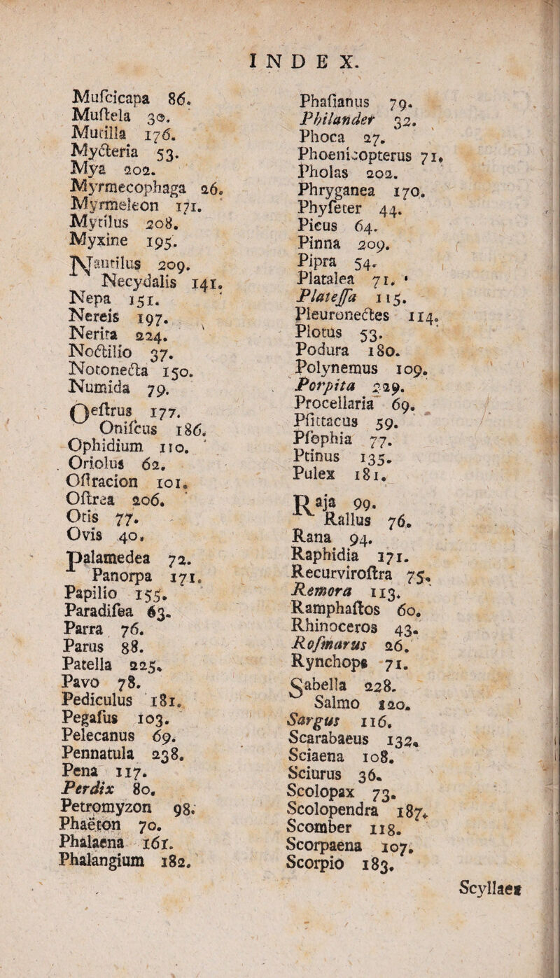 Mufcicapa 86* Mufleia 30. Mueilla 176. Mydteria 53. Mya aos. Myrmecophaga 26. Myrnieleon 171. Mytilus 508.1 Myxine 195. JSTantilus 209. Necydalis 141» Nepa 151. Nereis 197. Nerita 224. No<5ti!io 37. Notonedla 150. Numida 79. Qeflrug 177. Onifcus 186. Ophidium 110. . Oriolus 62, Offracion ron Oftrea 206. Otis 77. Ovis 40» palamedea 72. Panorpa 171, Papilio 153» Paradifea 63* Parra 76. Parus 88. Patella 225, Pavo 78. Pediculus '181. Pegafus 103. Pelecanus 69. Pennatula 238. Pena 117. Perdix 80. Petrpmyzon 98, Phaeion 70. Phalaena i6r. Phalangium 182. Phafianus 79. Pbilander 32. Phoca 27* Phoenicopterus 71* Pholas 202. Phryganea 170. Phyfeter 44. Picus 64. Pinna 209. Pipra 54. Platalea 71, • Platejfa 115. Pieuroneftes 114. Plotus 53. Podura 180. Polynemus 109. Porpita 229. Procellam 69, Pfutacus 59. Pfbphia 77. Ptinus 135. Pulex 181 • 1 * • 76. Rana 94. Raphidia 171. Recurviroftra 75, Remora 113* Ramphailos 6o. Rhinoceros 43. Rofmarus 26. Rynchopa 71. fabella 228. Salmo j 20. Sargus 116. Scarabaeus 132, Sciaena 108. Sciurus 36. Scolopax 73. Scolopendra 187+ Scomber 118. Scorpaena 107. Scorpio 183. R aJ‘a 99 Rallus Scyllae*